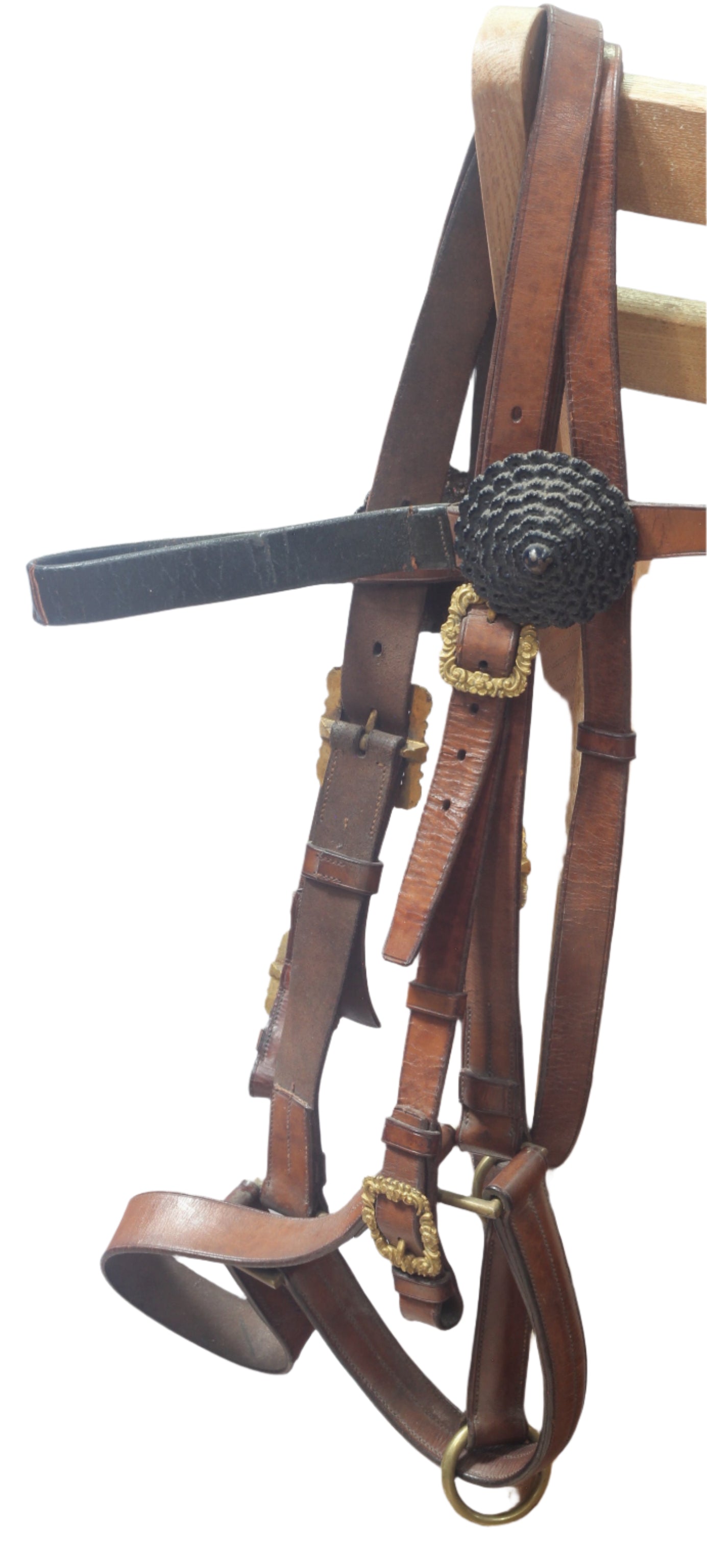 A British Cavalry Officer's Bridle