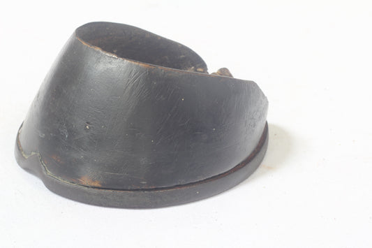 Taxidermy Horse Hoof with Horseshoe