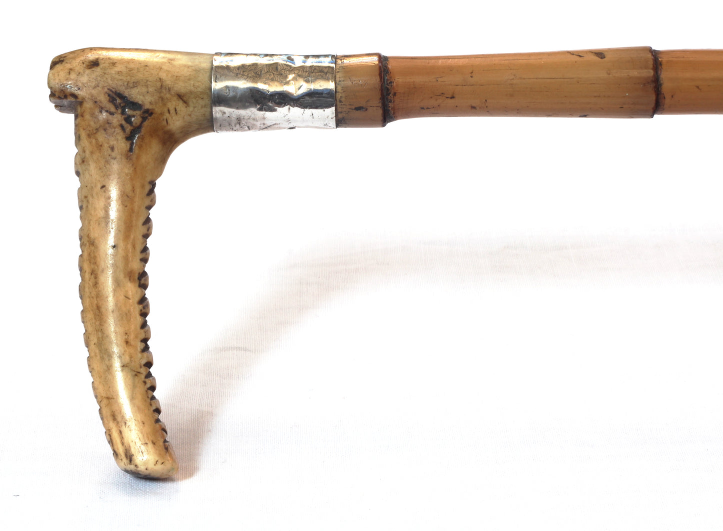 Victorian hunting whip