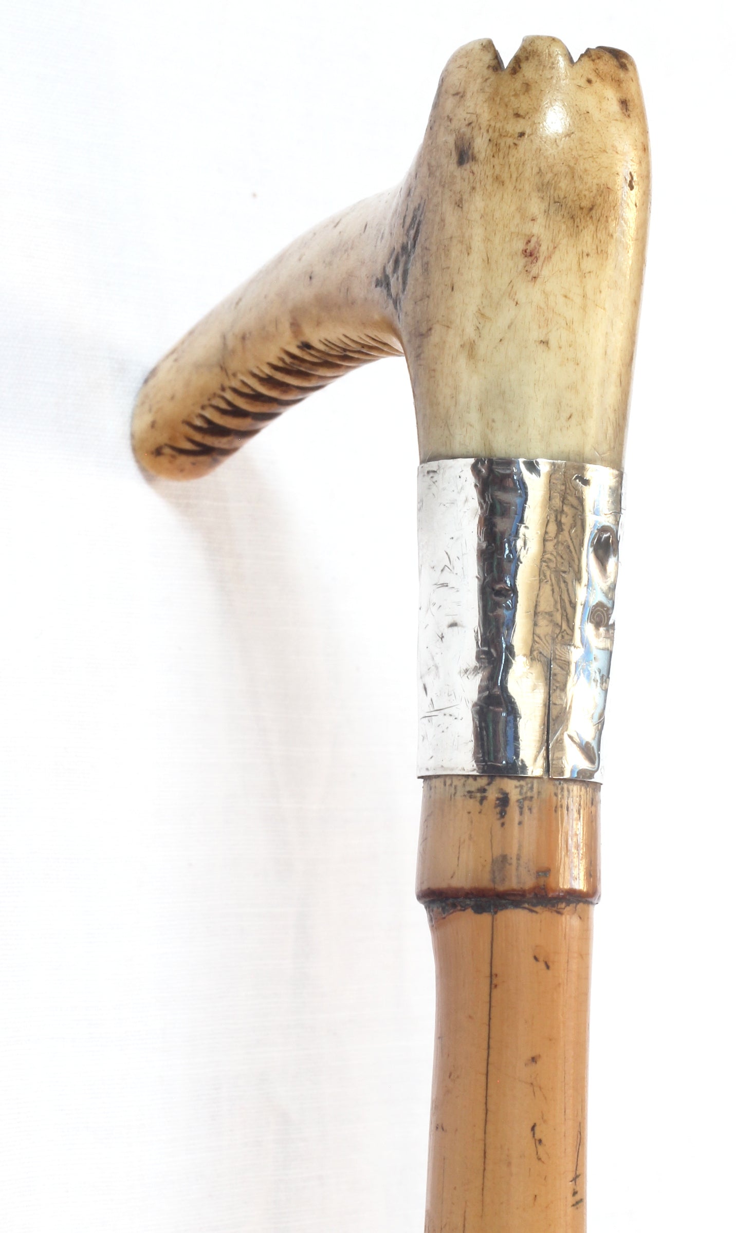 Victorian hunting whip