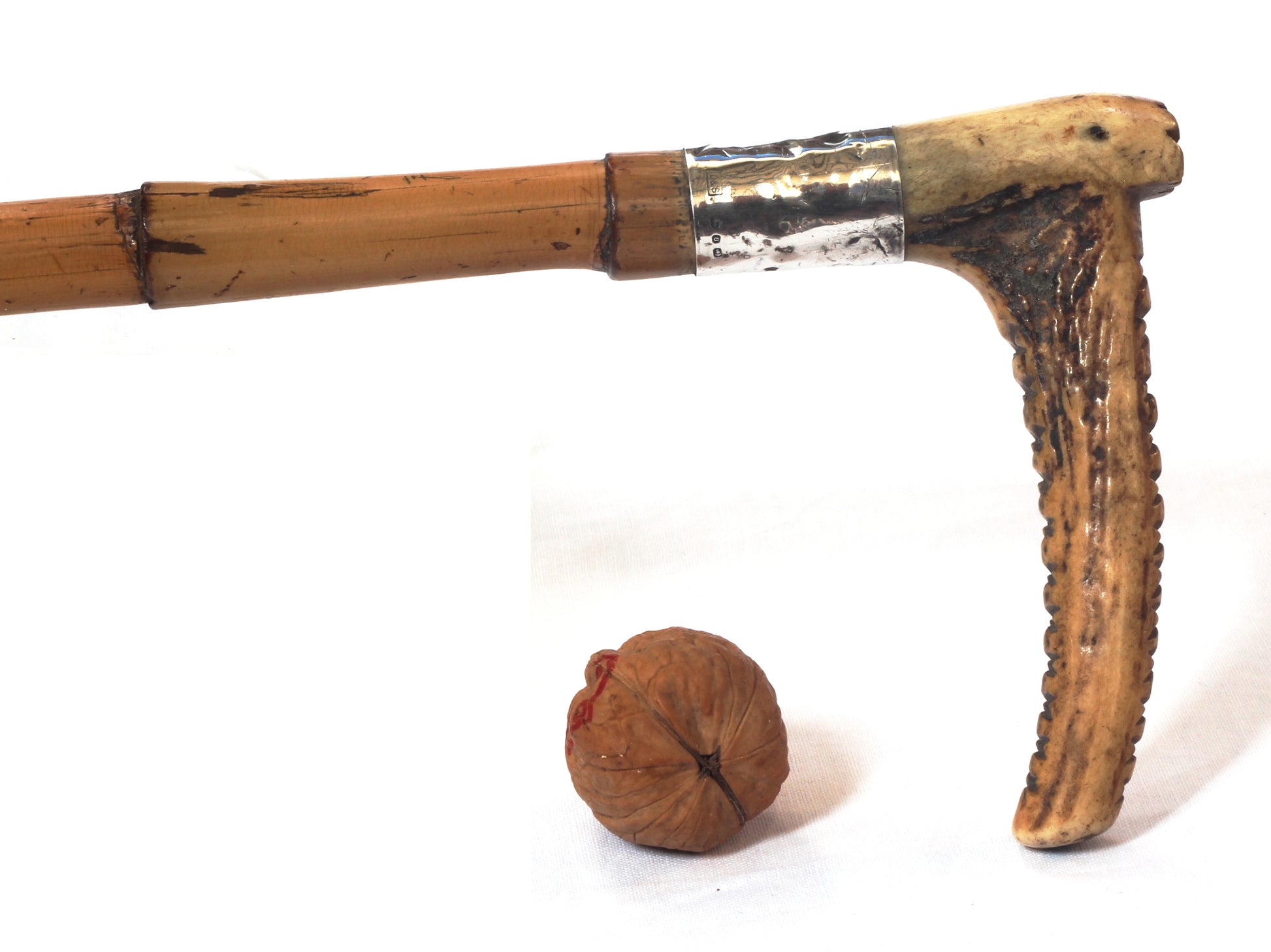 Victorian hunting whip
