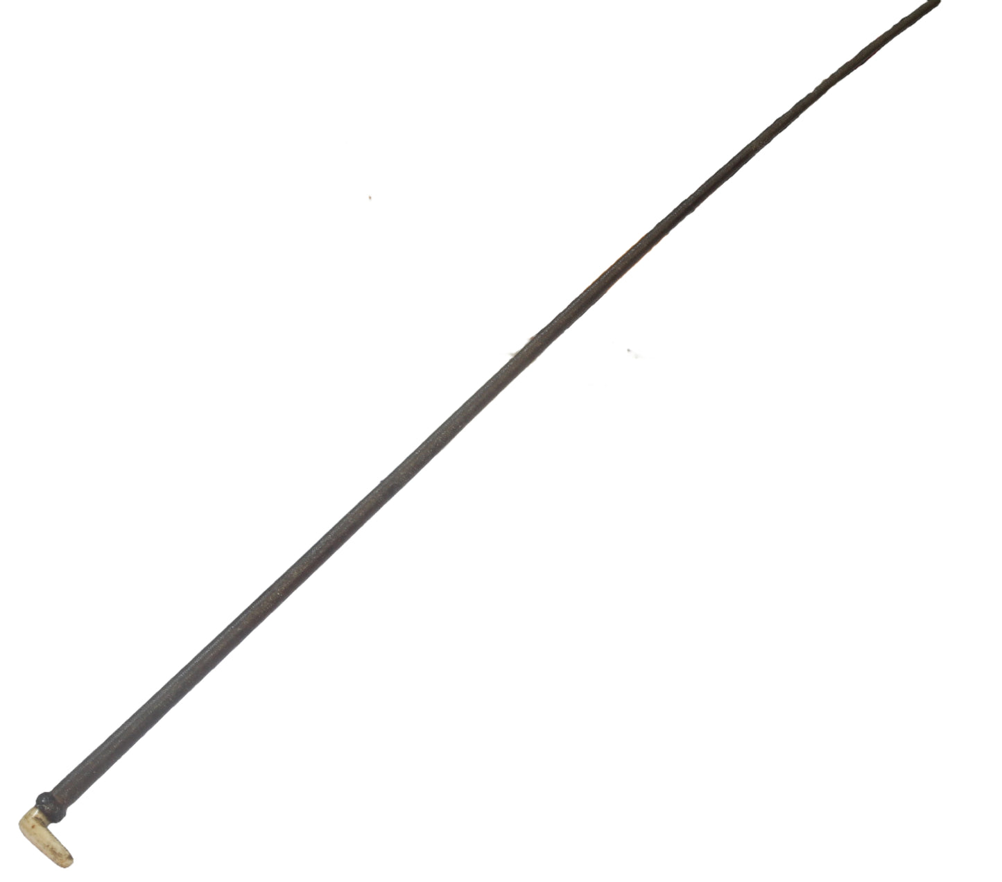 19th Century Sidesaddle Riding Whip with Bone Handle