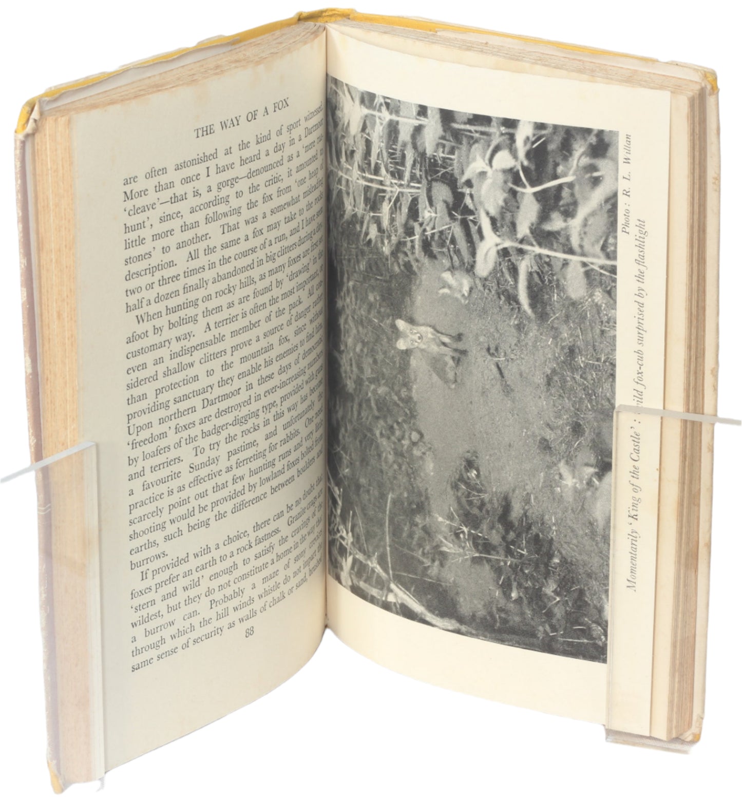 The Way of a Fox by D.St.Leger-Gordon, 1952