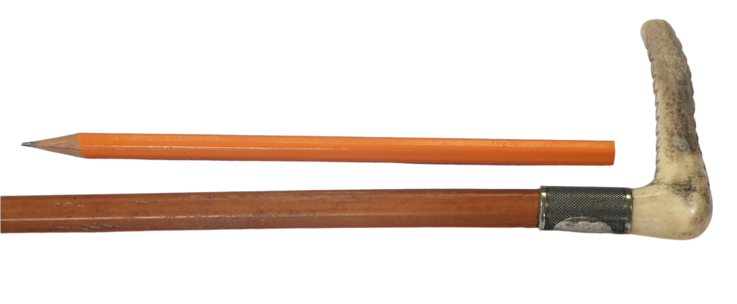 Antique Malacca Sidesaddle Hunting Whip or Crop