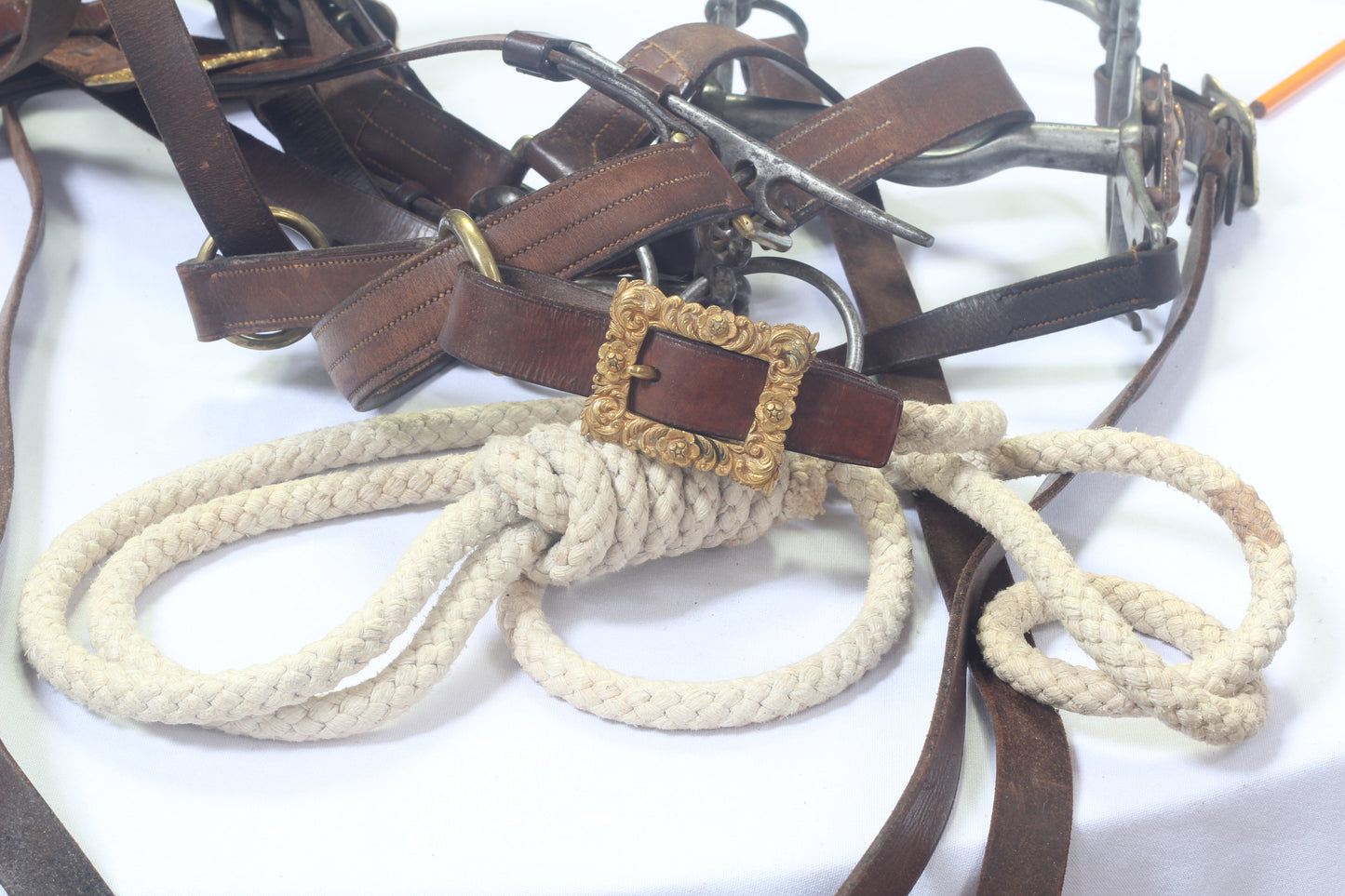 Edwardian General's bridle