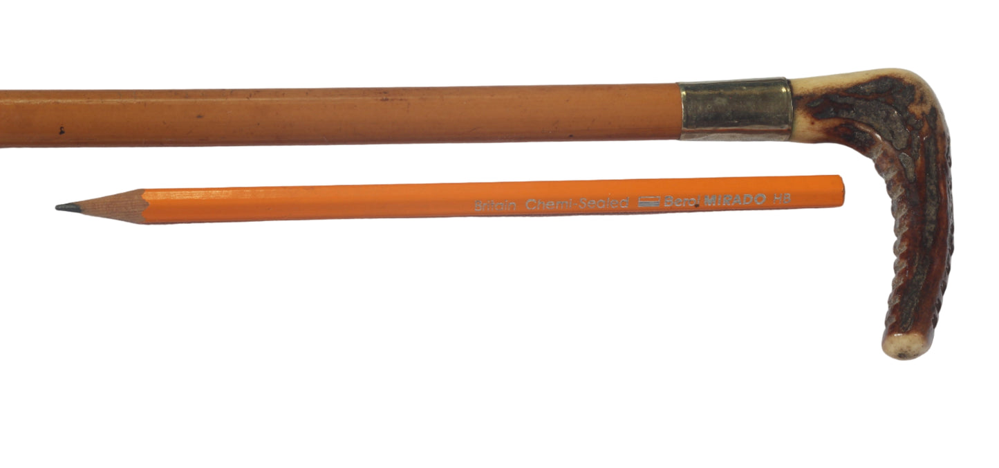 Antique Malacca Sidesaddle Hunting Whip or Crop