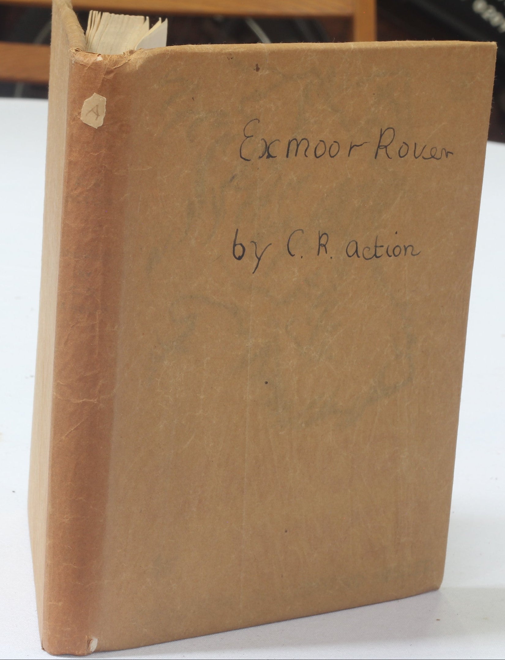 Exmoor Rover by C.R.Acton, Illus C.Gifford Ambler. 1938 1st Ed