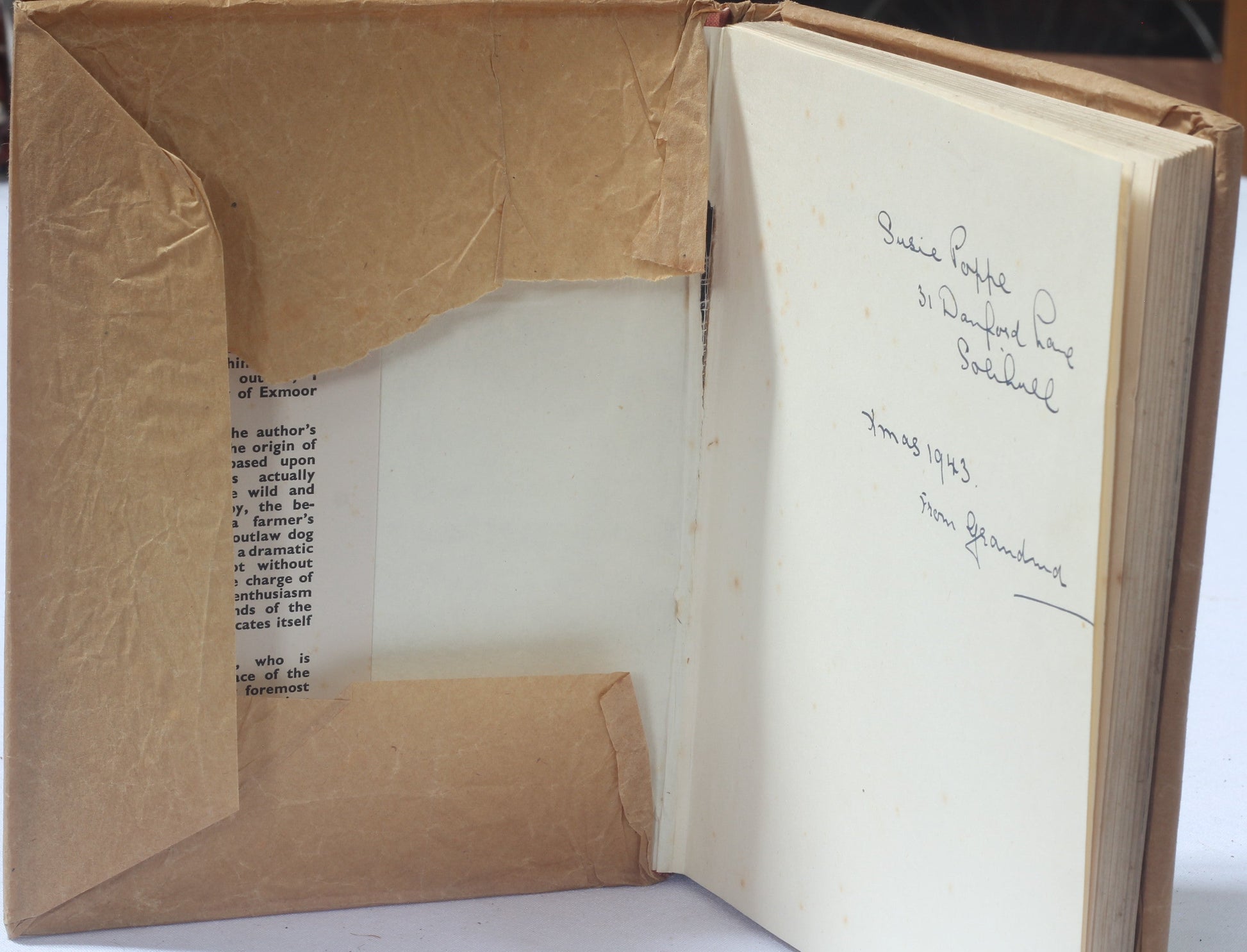 Exmoor Rover by C.R.Acton, Illus C.Gifford Ambler. 1938 1st Ed