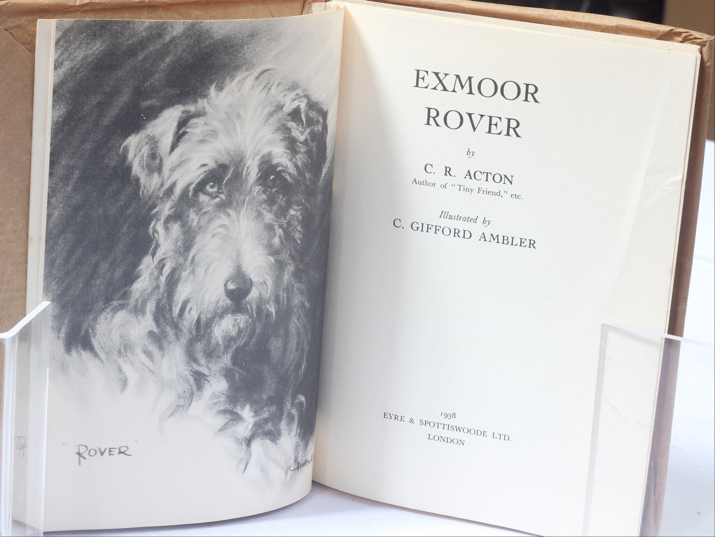 Exmoor Rover by C.R.Acton, Illus C.Gifford Ambler. 1938 1st Ed