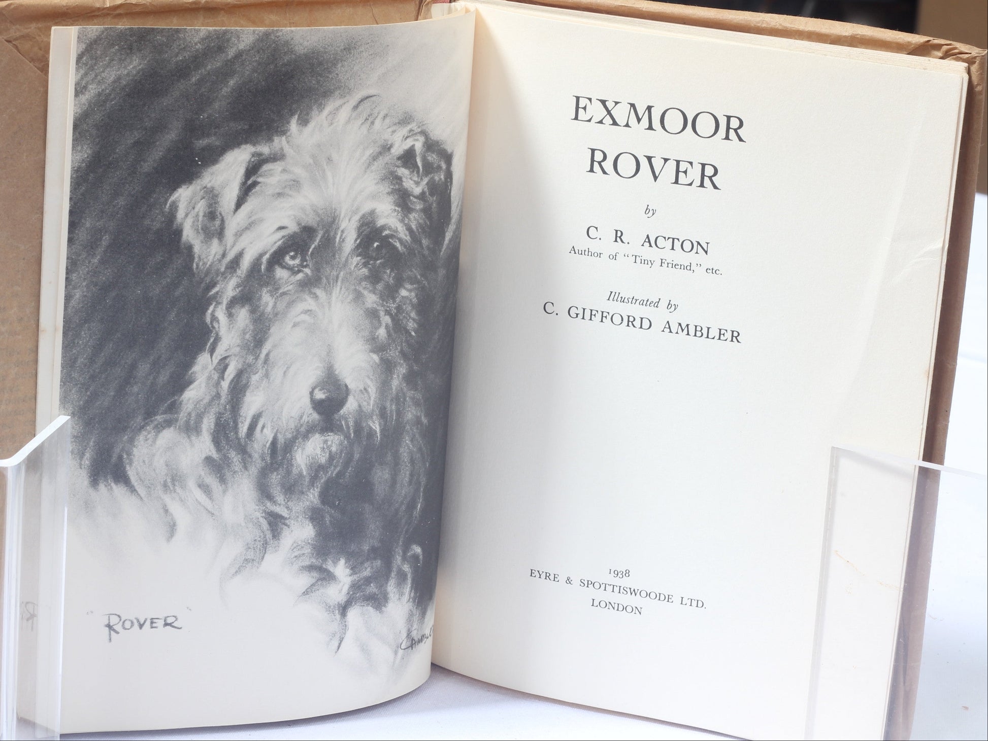 Exmoor Rover by C.R.Acton, Illus C.Gifford Ambler. 1938 1st Ed