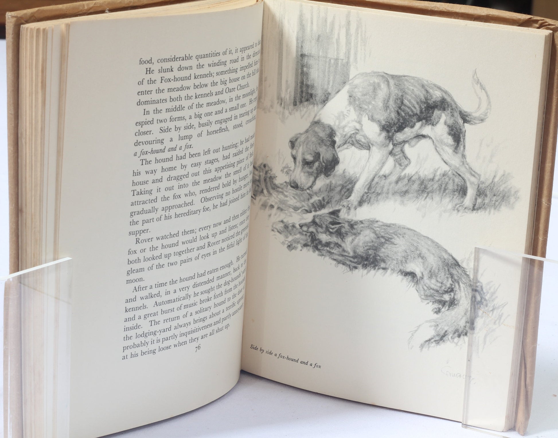 Exmoor Rover by C.R.Acton, Illus C.Gifford Ambler. 1938 1st Ed
