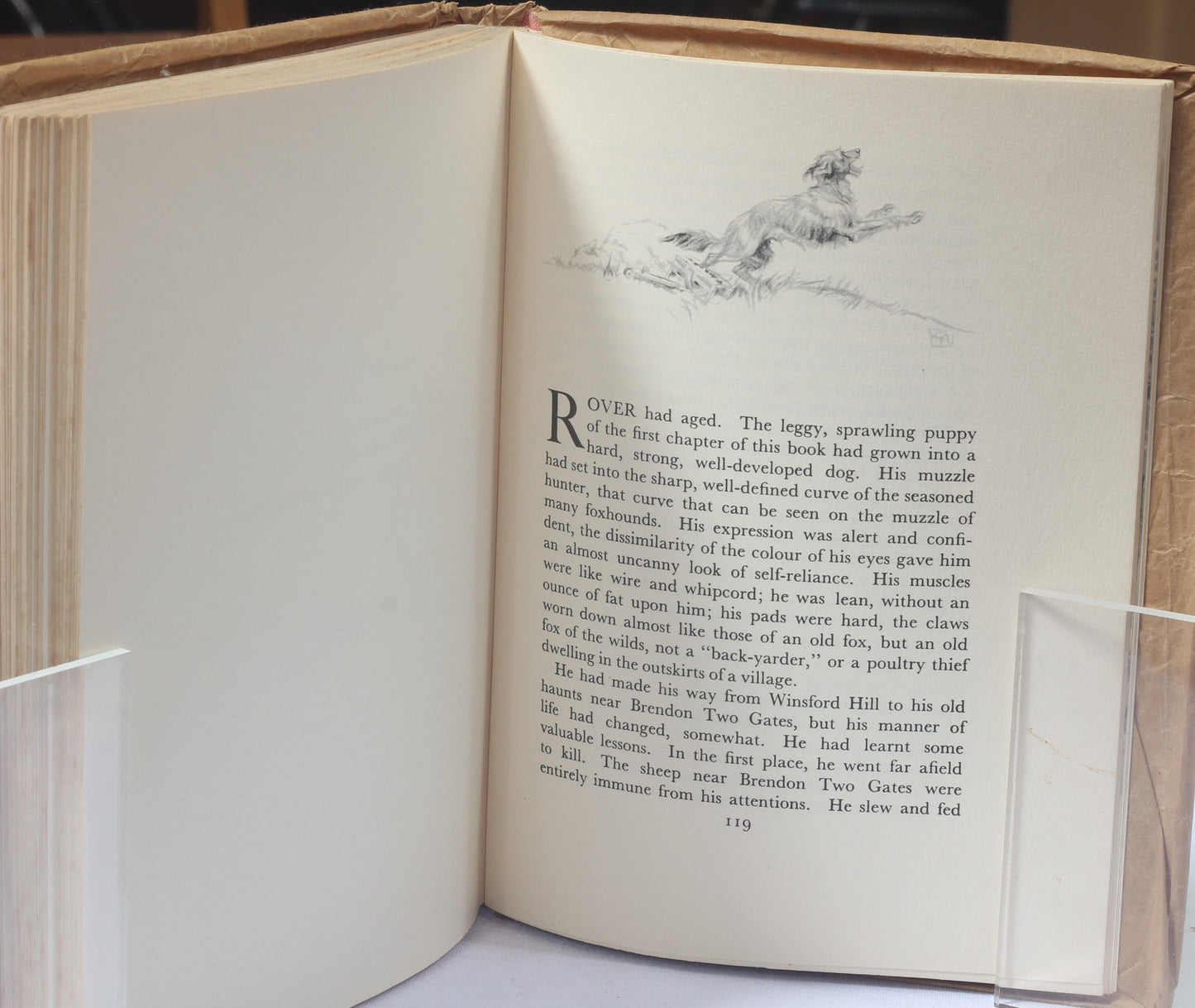 Exmoor Rover by C.R.Acton, Illus C.Gifford Ambler. 1938 1st Ed