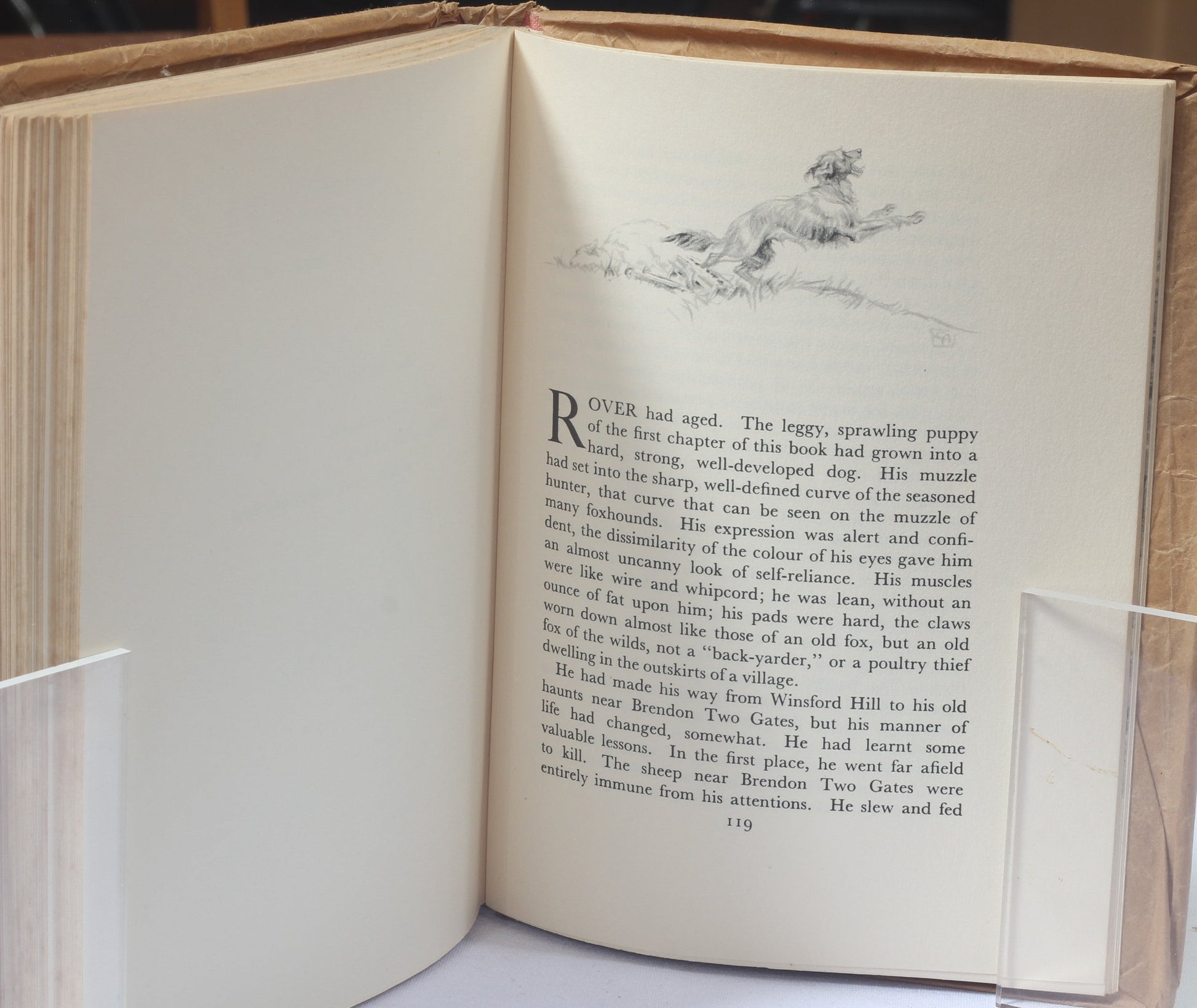 Exmoor Rover by C.R.Acton, Illus C.Gifford Ambler. 1938 1st Ed