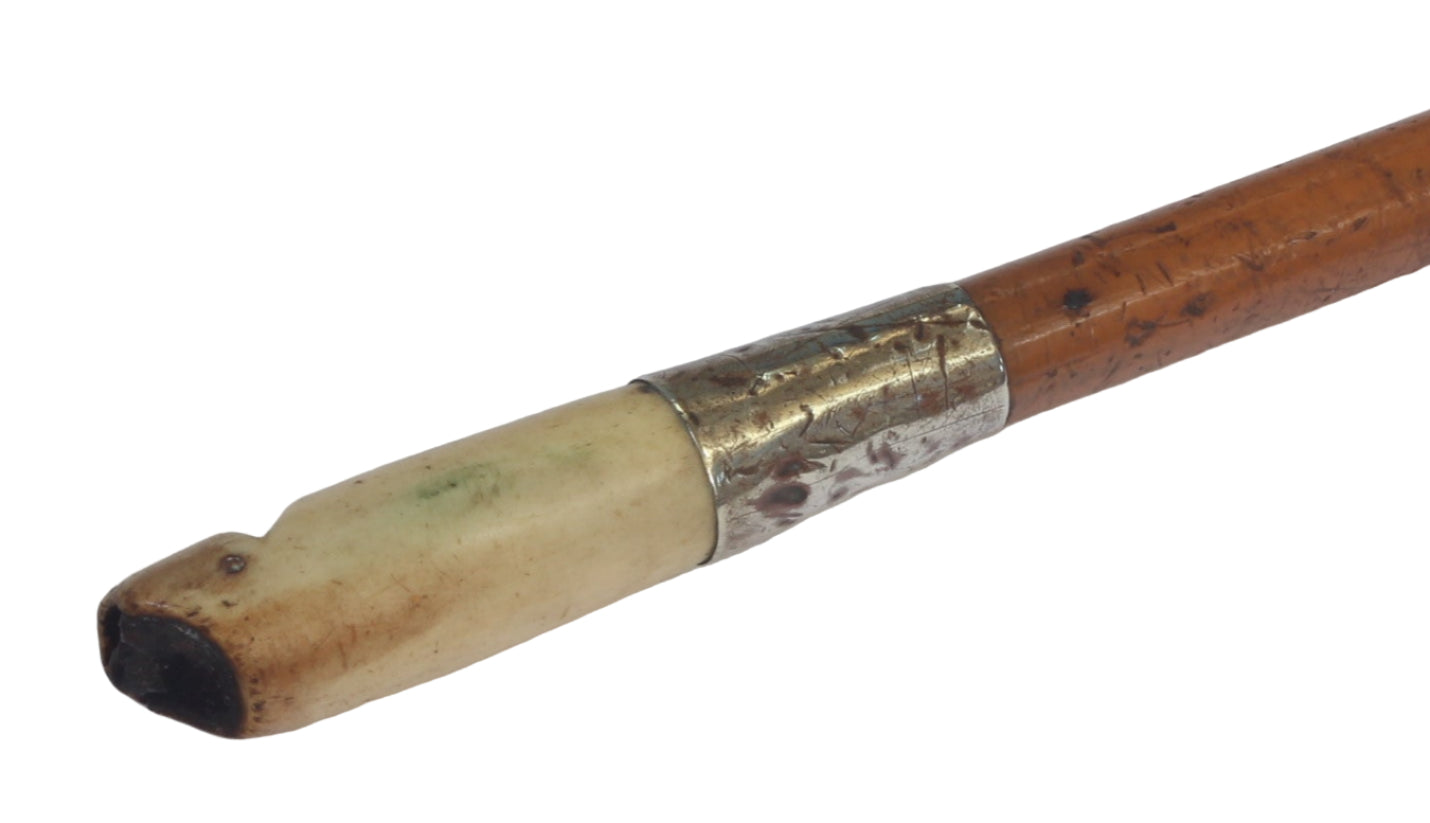 Vintage Slim Malacca Beagling or Dog Whip with Whistle