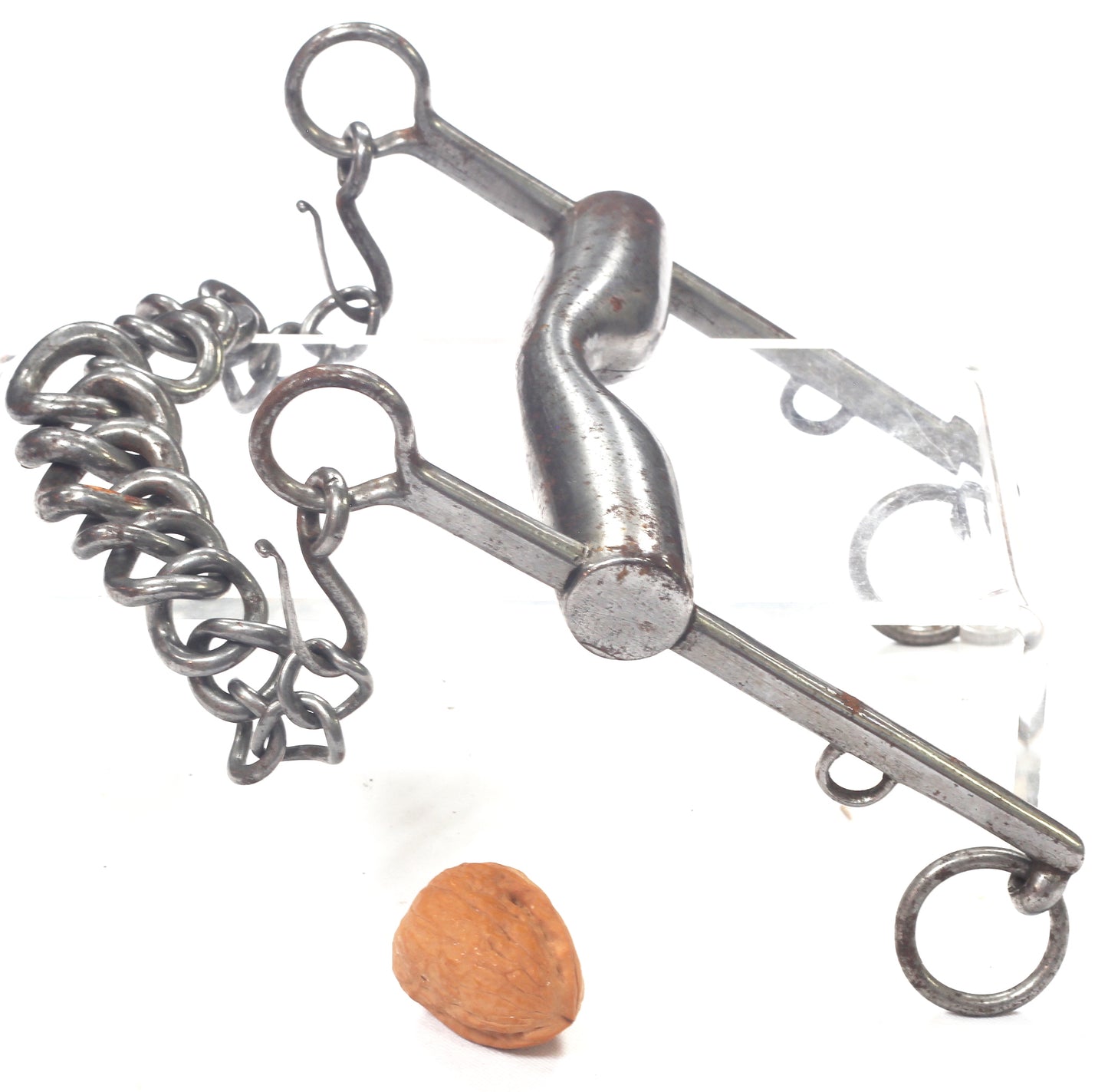 A 19th Century Curb Bit with Graduated Curb Chain