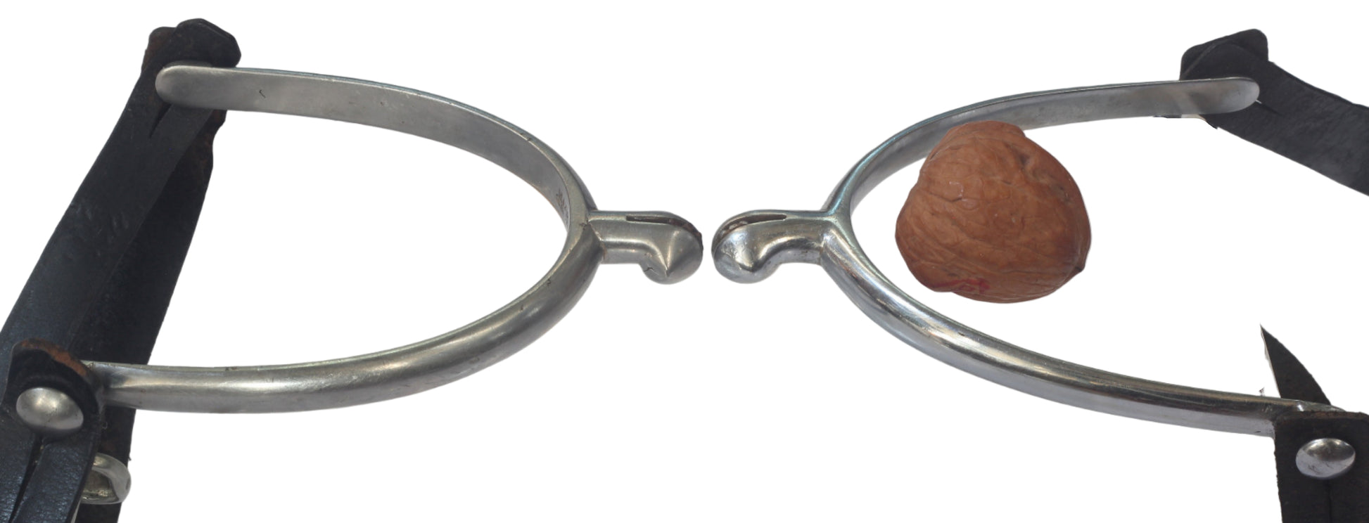 Vintage Hunting Spurs with Buttons & Buckles