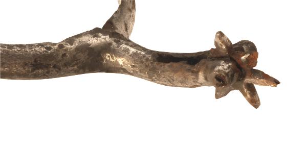 Medieval Rowel Spur - Spur229
