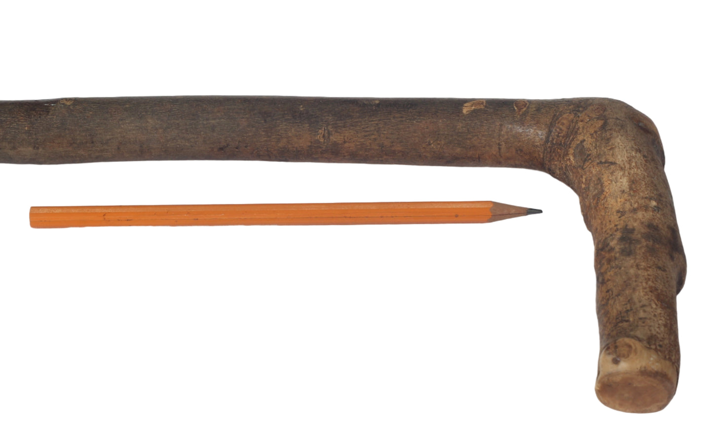 Vintage Rustic Ash Hunting Whip or Crop with Thong