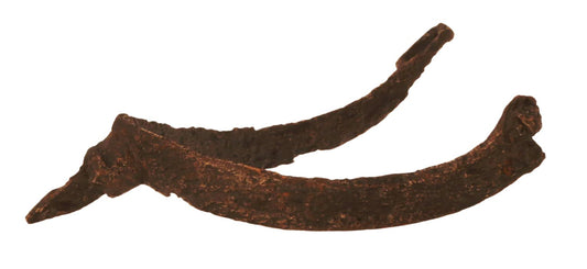 A 14th / 15th Century Spur Missing Rowel
