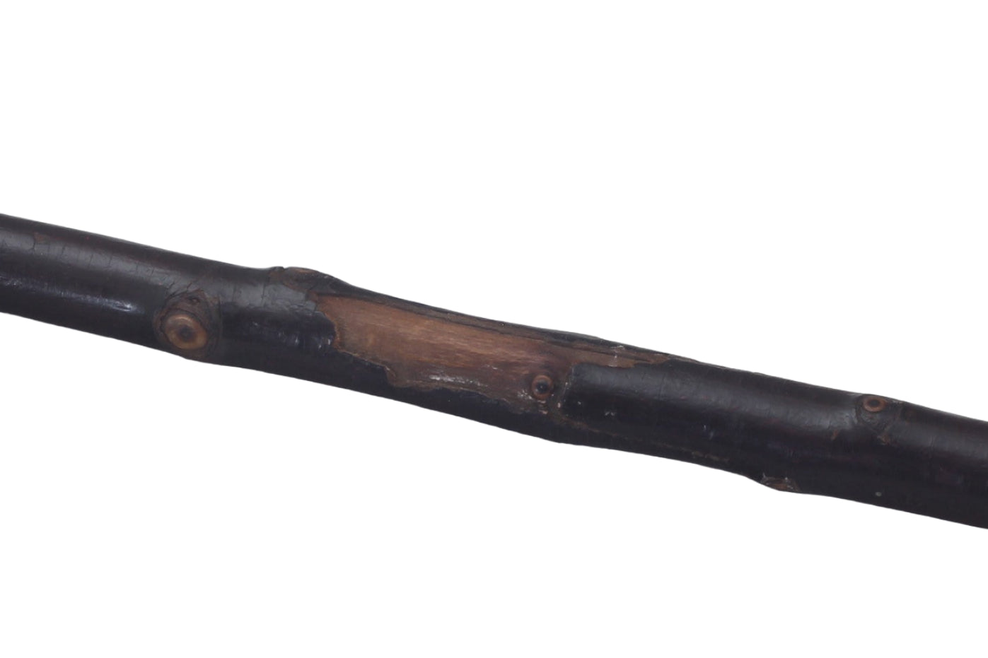1863 Ladies Blackthorn Hunting Whip or Crop by Callow