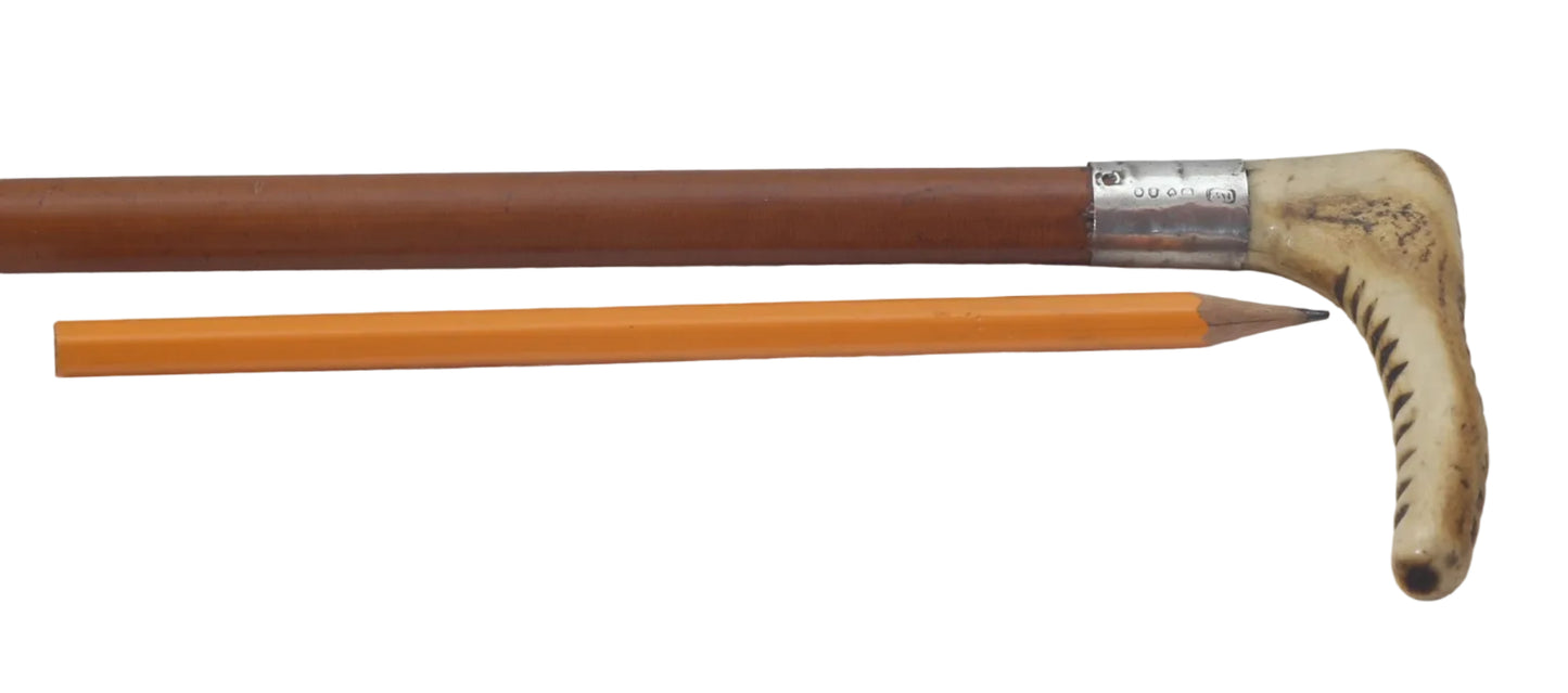 Antique Long Slim Malacca Sidesaddle Hunting Whip