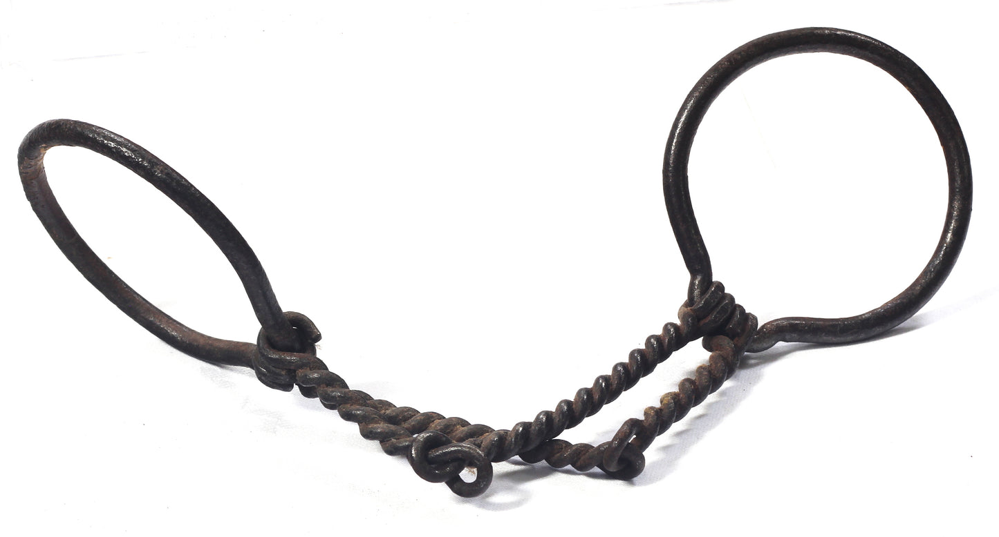 A Twisted Wire Double Mouthpiece Bit