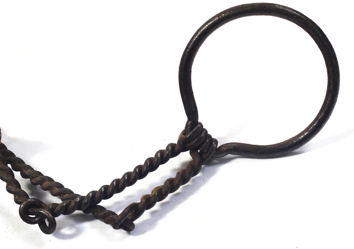 A Twisted Wire Double Mouthpiece Bit