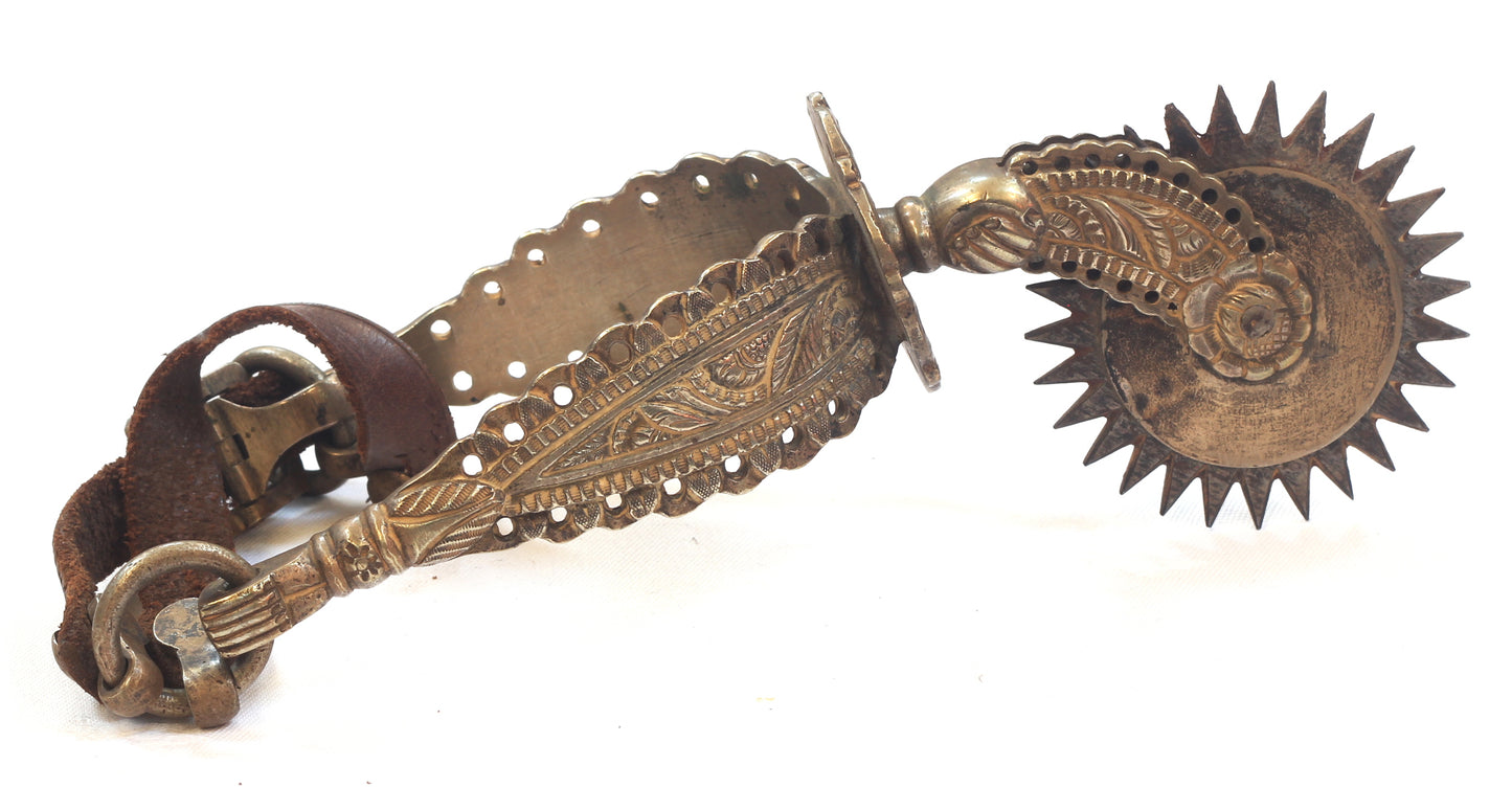 Single South American Spur