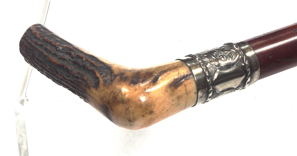 Long Gentleman's Malacca Hunting Whip - w460