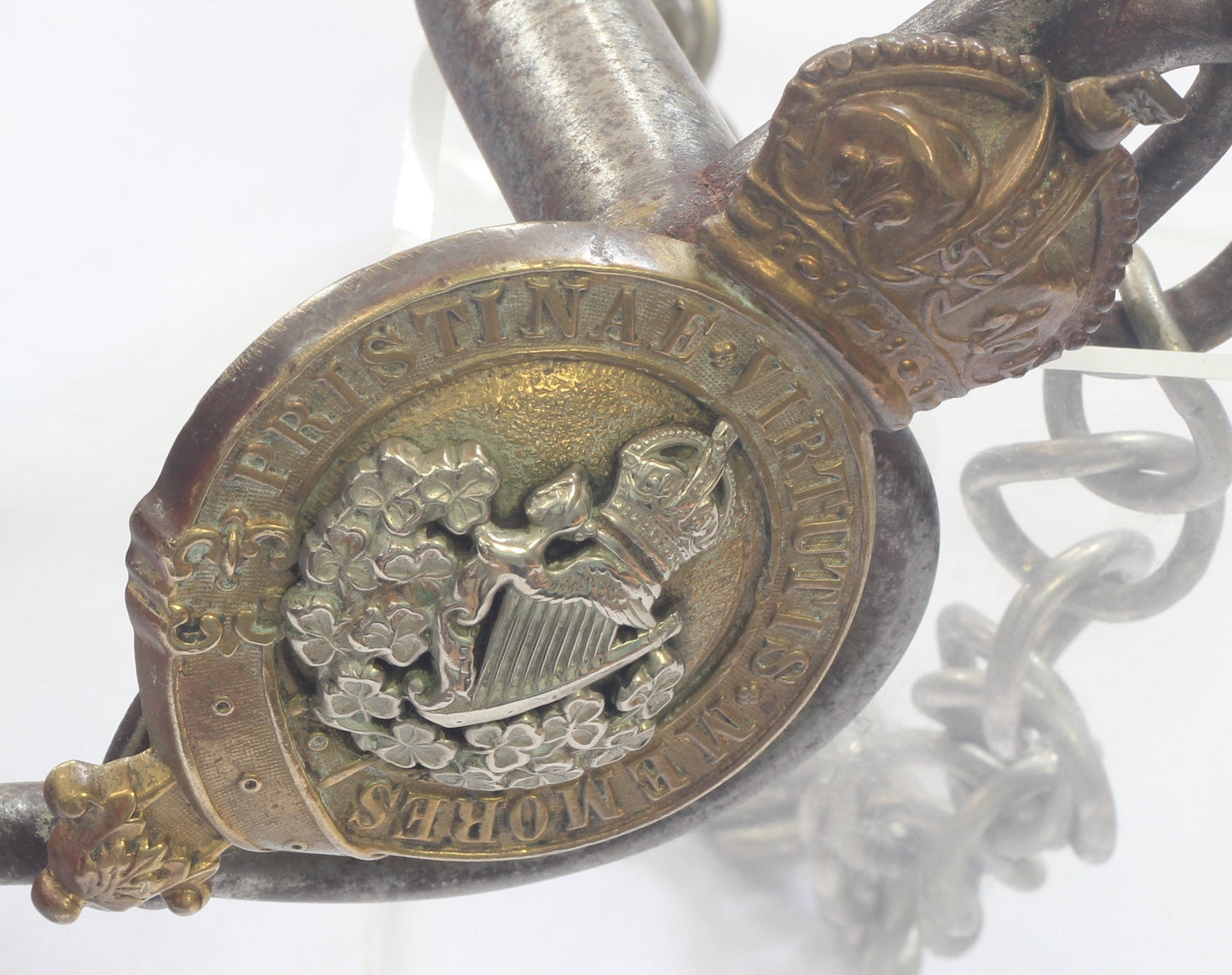 8th King's Royal Irish Hussars Officers Horse Bit by Whippy