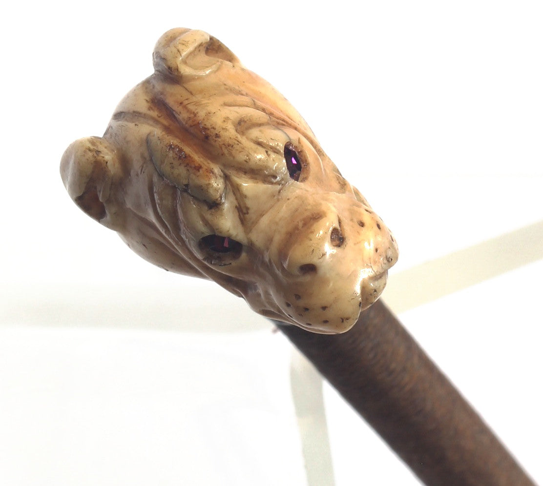 Antique Ladies Whip with Bone Boxer Dog Cap