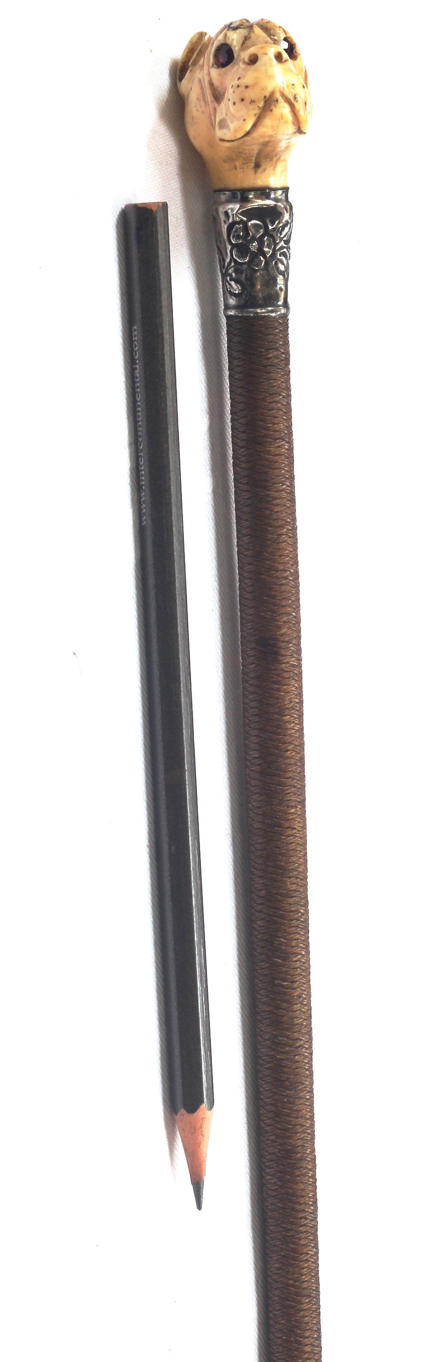 Antique Ladies Whip with Bone Boxer Dog Cap