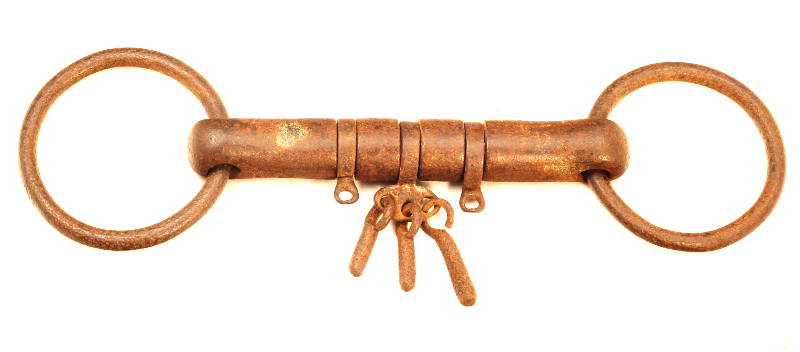 Snaffle bit with rotating dics and players