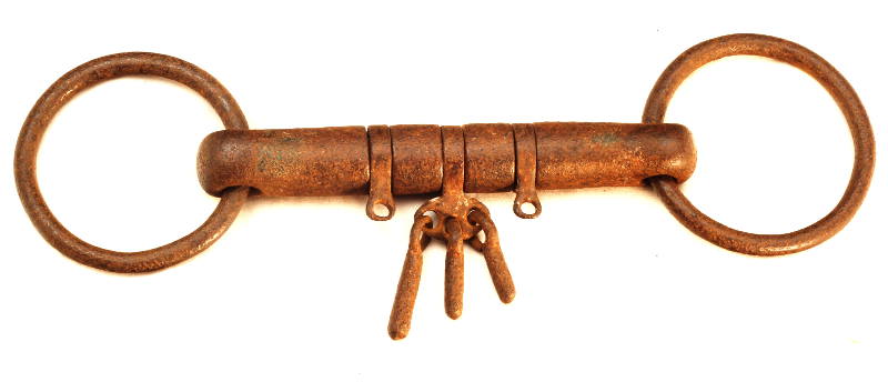 Snaffle bit with rotating dics and players