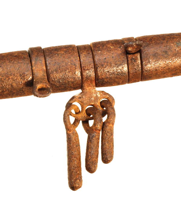 Snaffle bit with rotating dics and players