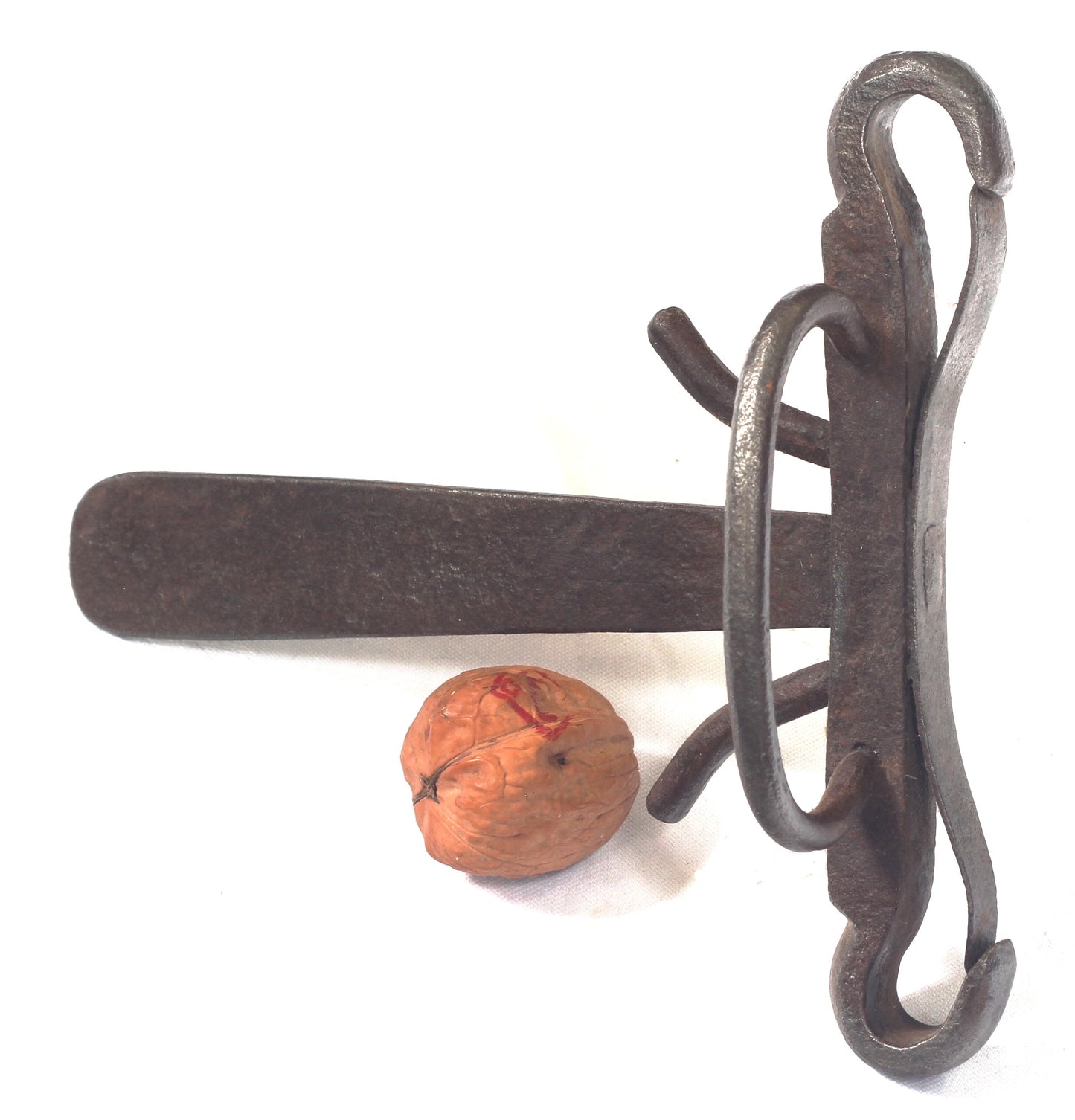 A Steel Spring or Butterfly Bit with Tongue Plate
