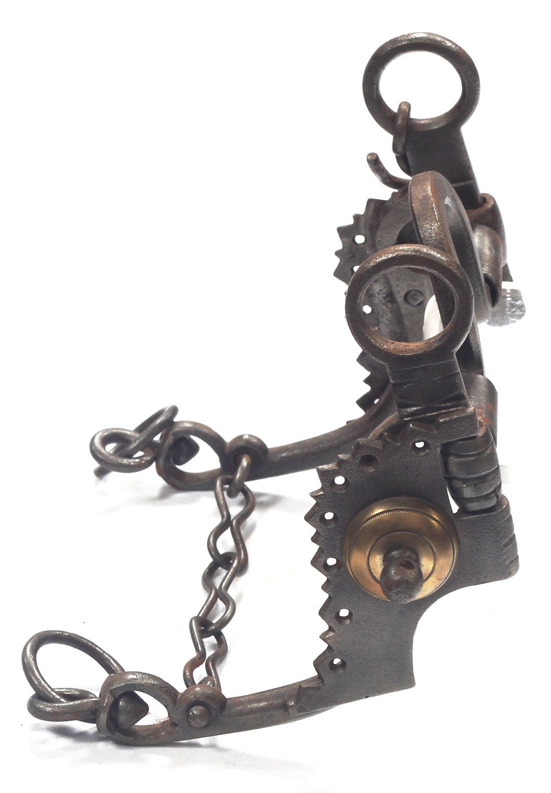 A Brazilian Horse Bit