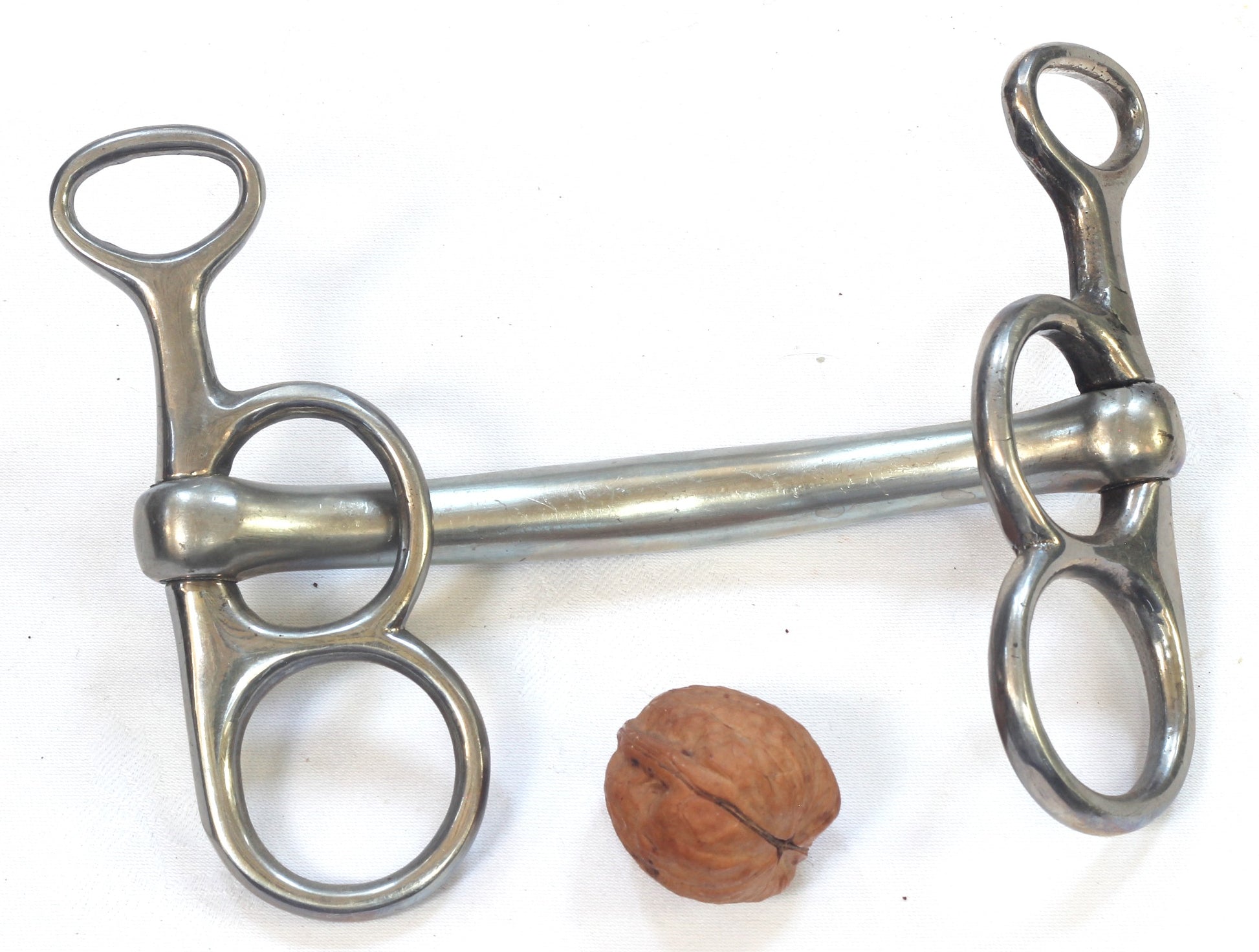 A Butterfly Horse Bit