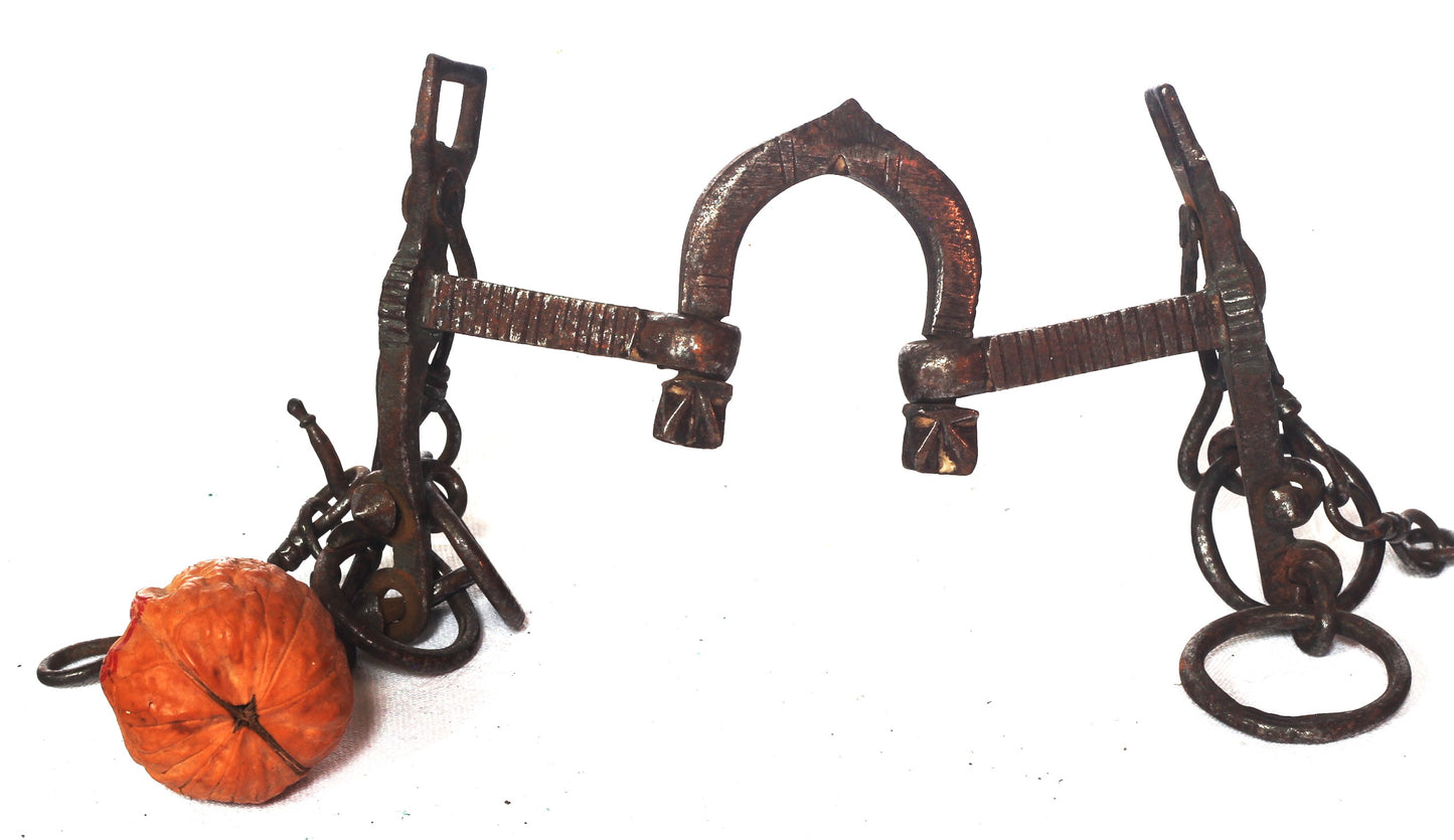 Antique Indian Thorn or Curb Bit