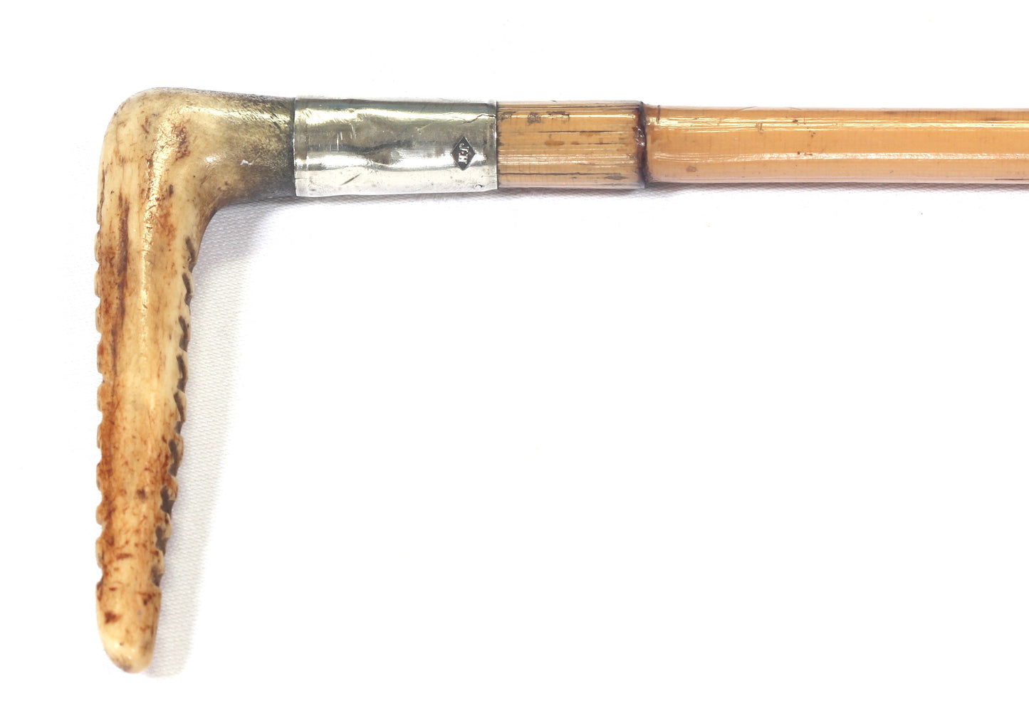 Antique hunting whip