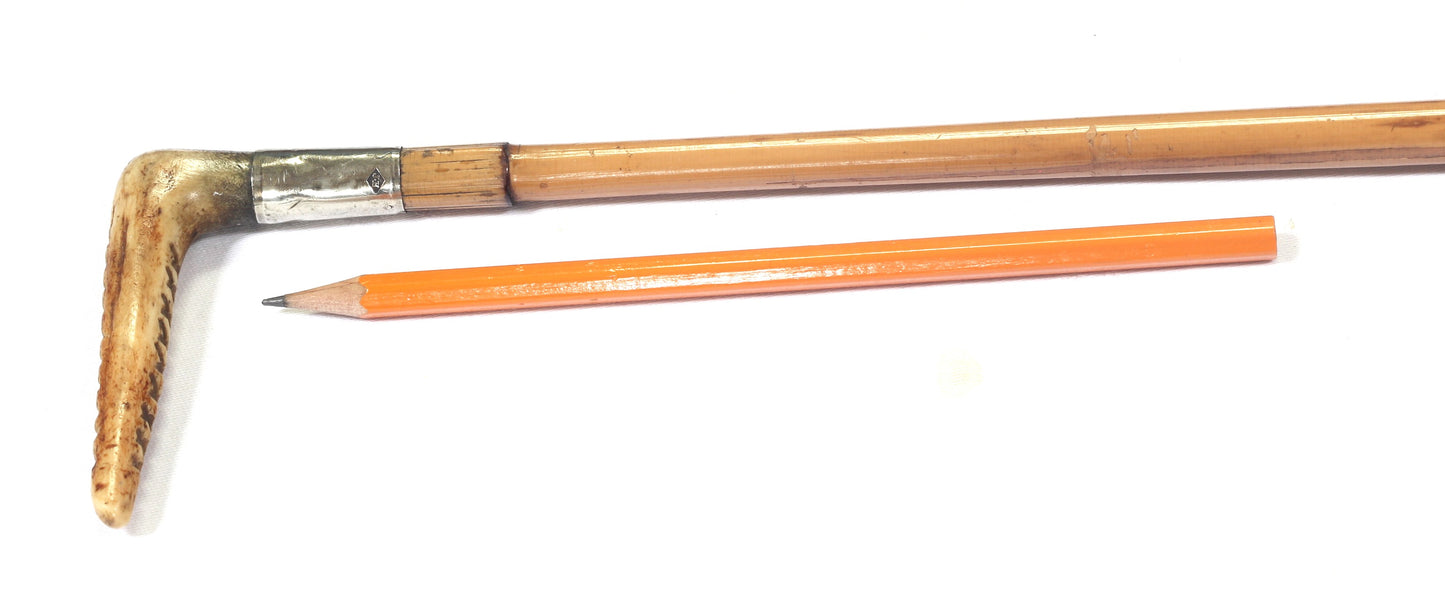 Jonathan Howell Hunting Whip