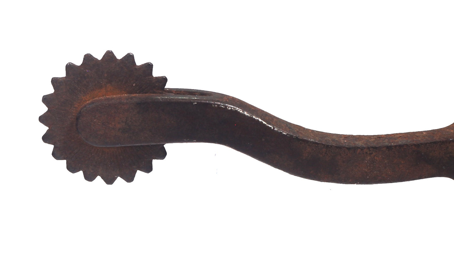 Blue Diamond Texas Long Shank Spur