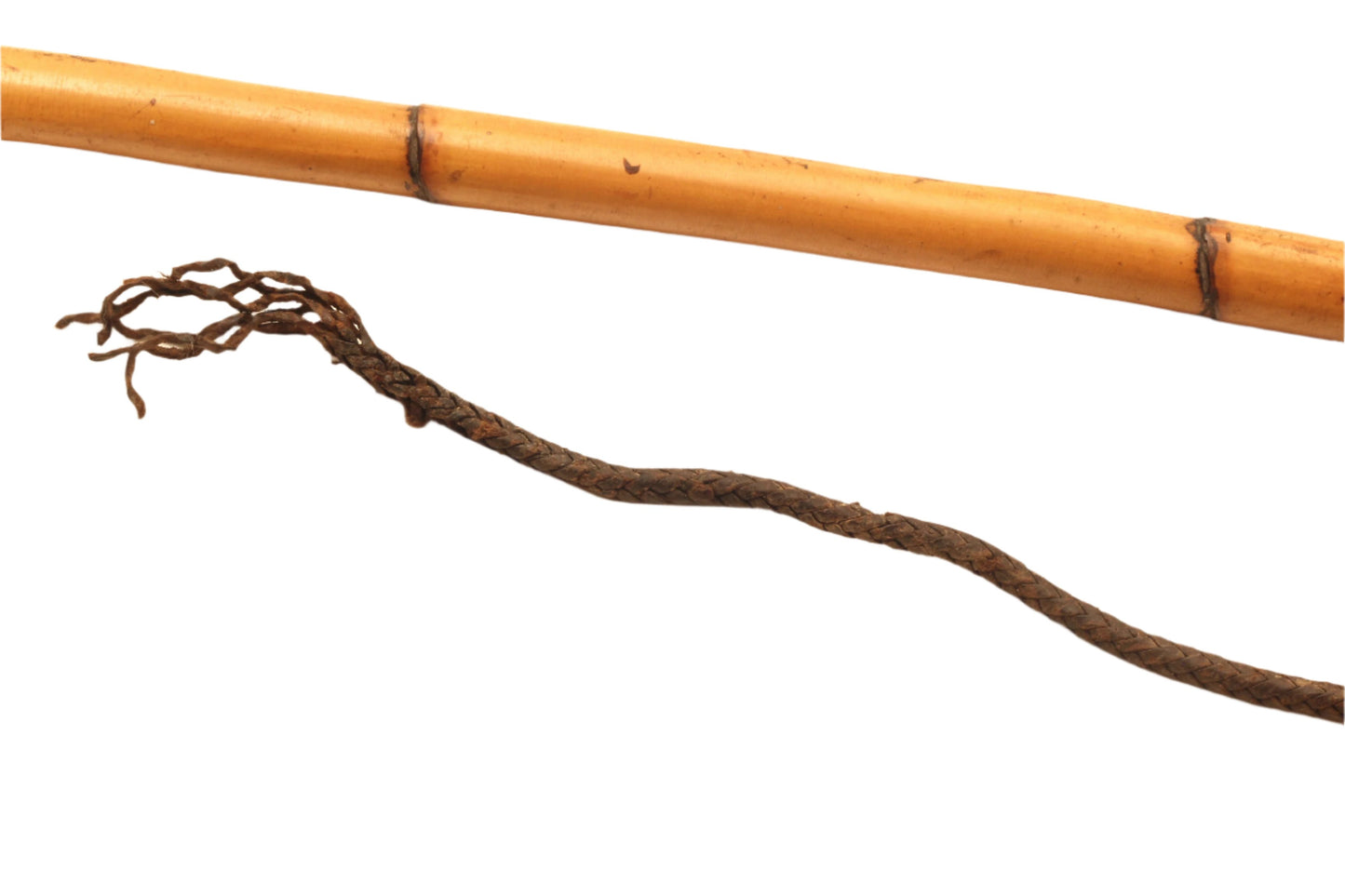 Antique hunting whip