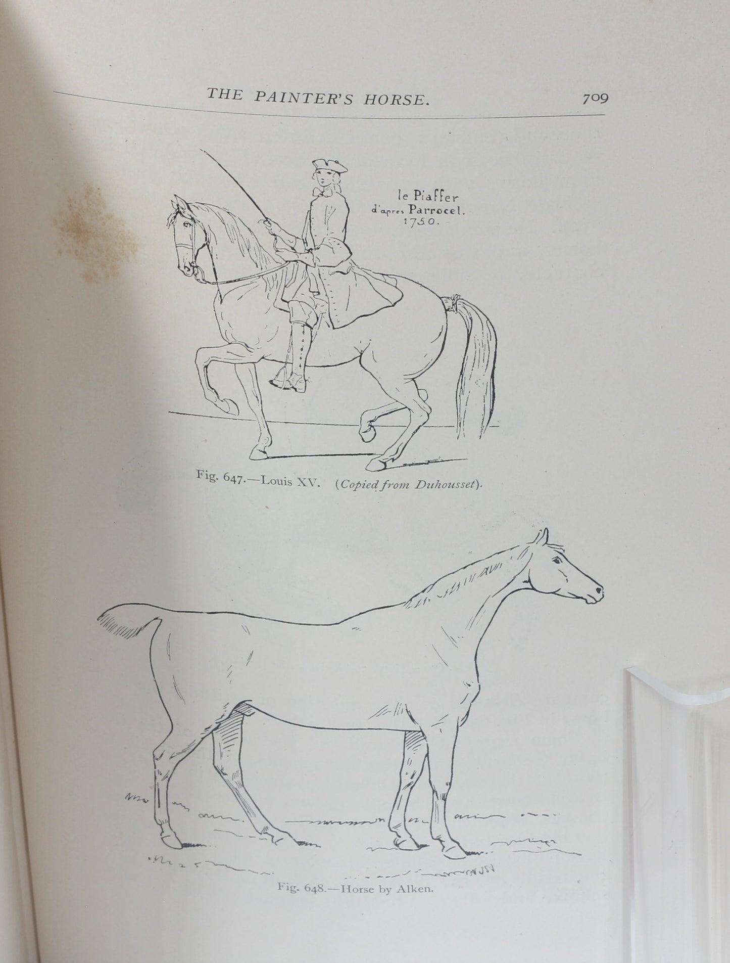 Points of the Horse by Captain M.H.Hayes , 3rd Edition 1904