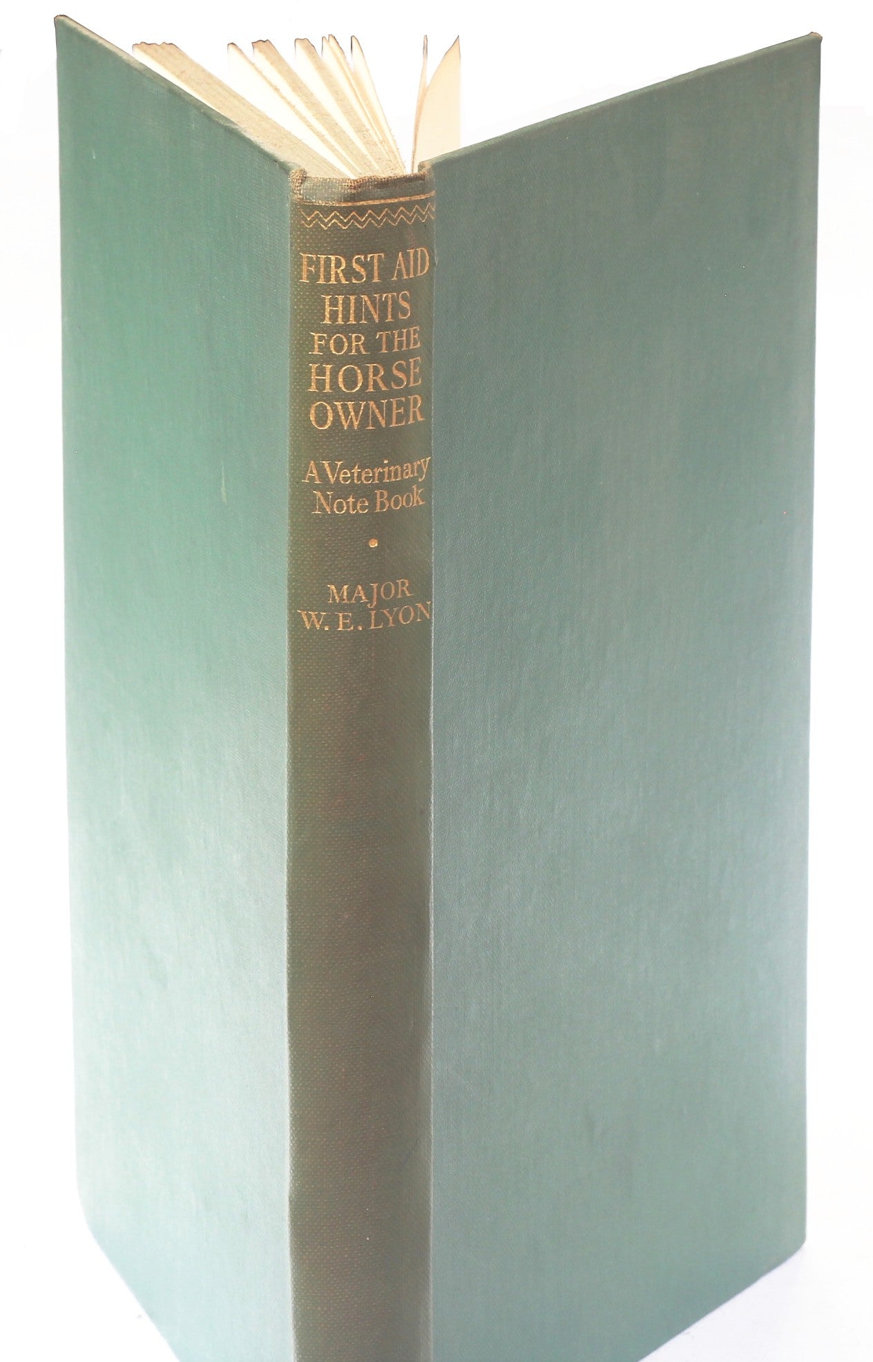 First Aid Hints for the Horse Owner, A Veterinary Note Book by Major W.E.Lyon, 1st Ed 1933