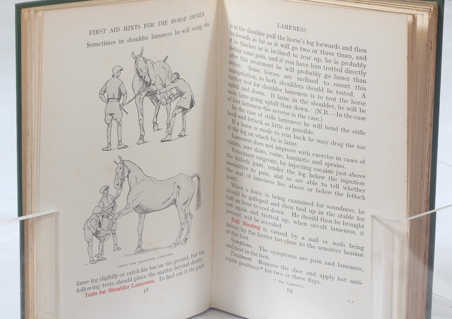 First Aid Hints for the Horse Owner, A Veterinary Note Book by Major W.E.Lyon, 1st Ed 1933