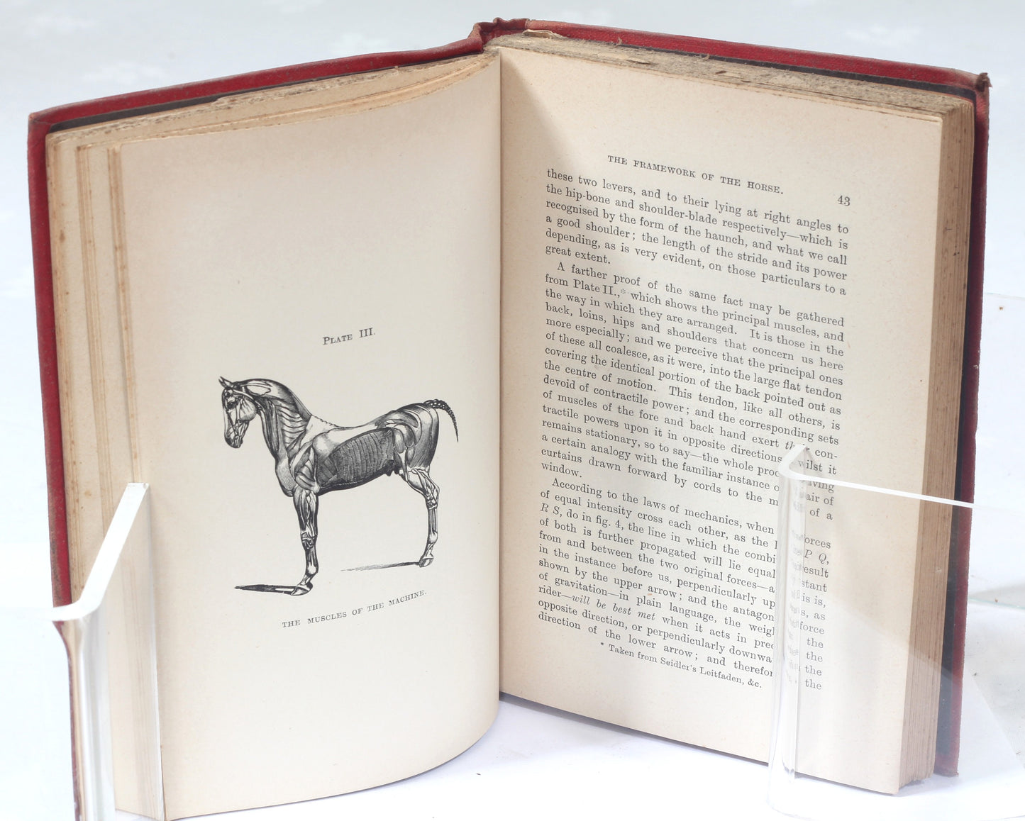On seats and saddles : bits and bitting and the prevention and cure of restiveness in horses by Francis Dwyer, 4th Ed.