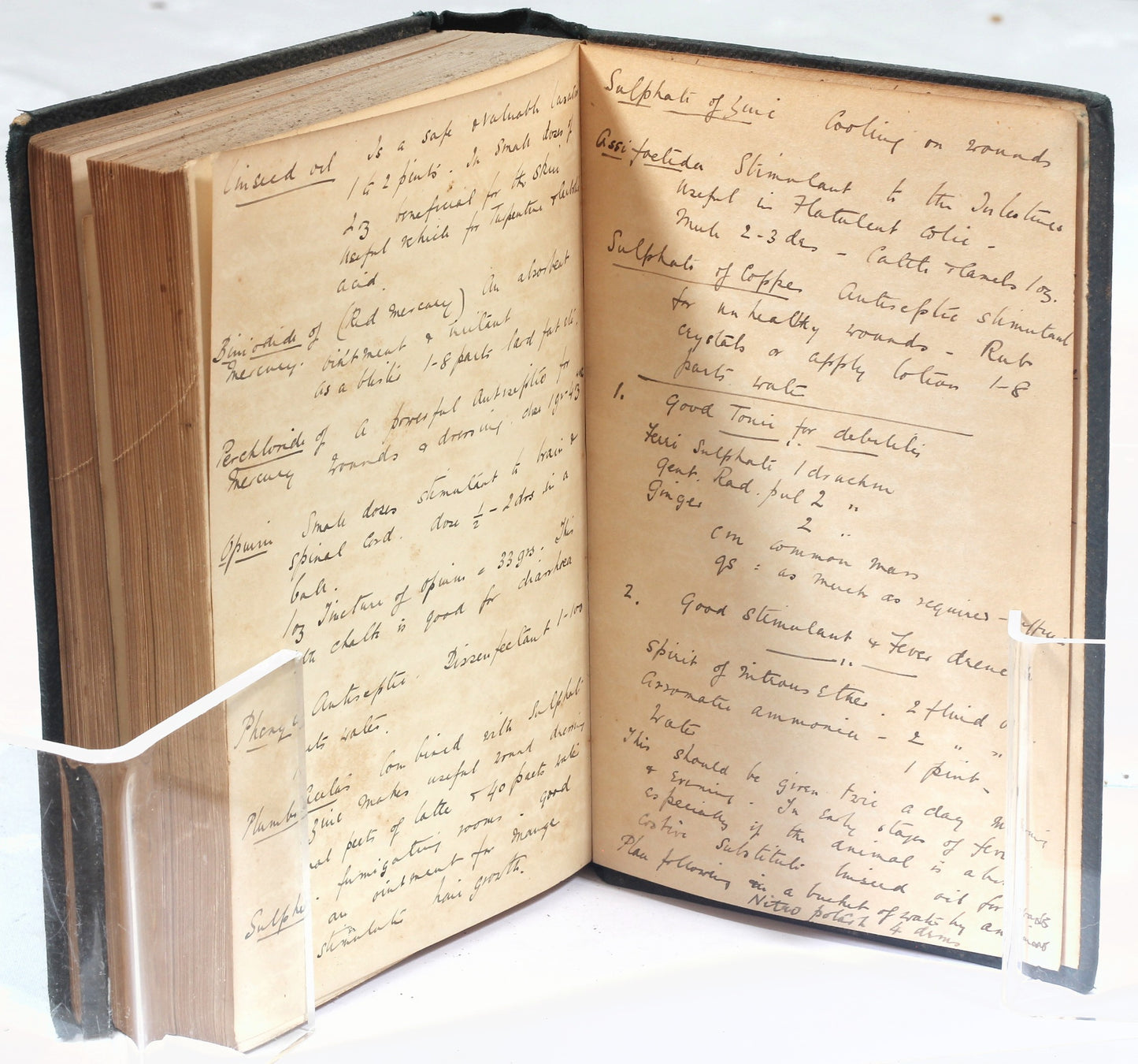 Horses & Stables by Major General Sir F. Fitzwygram Bart , 5th Edition 1901