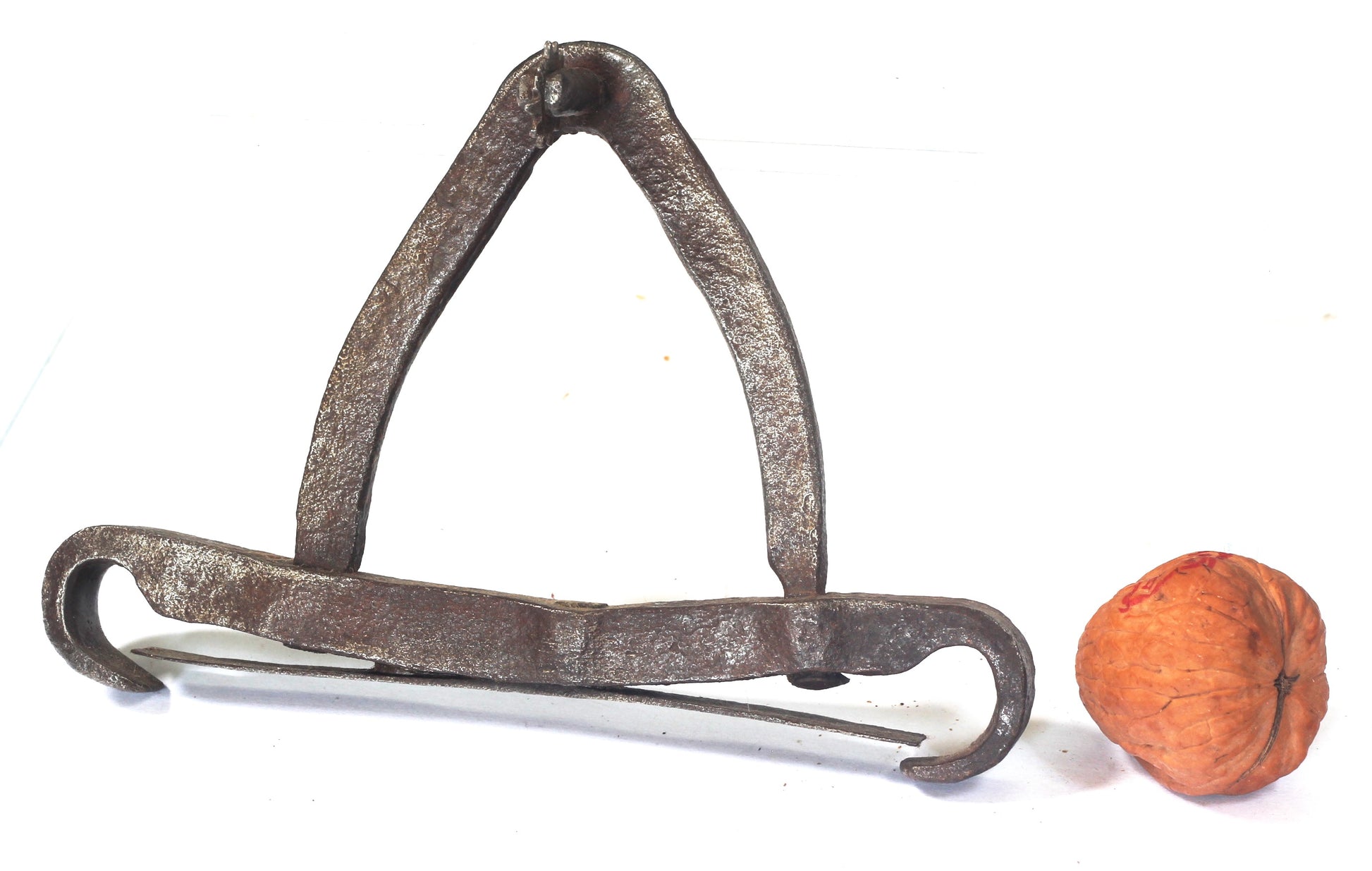 A Steel Spring or Butterfly Bit with Tongue Grid and Spur