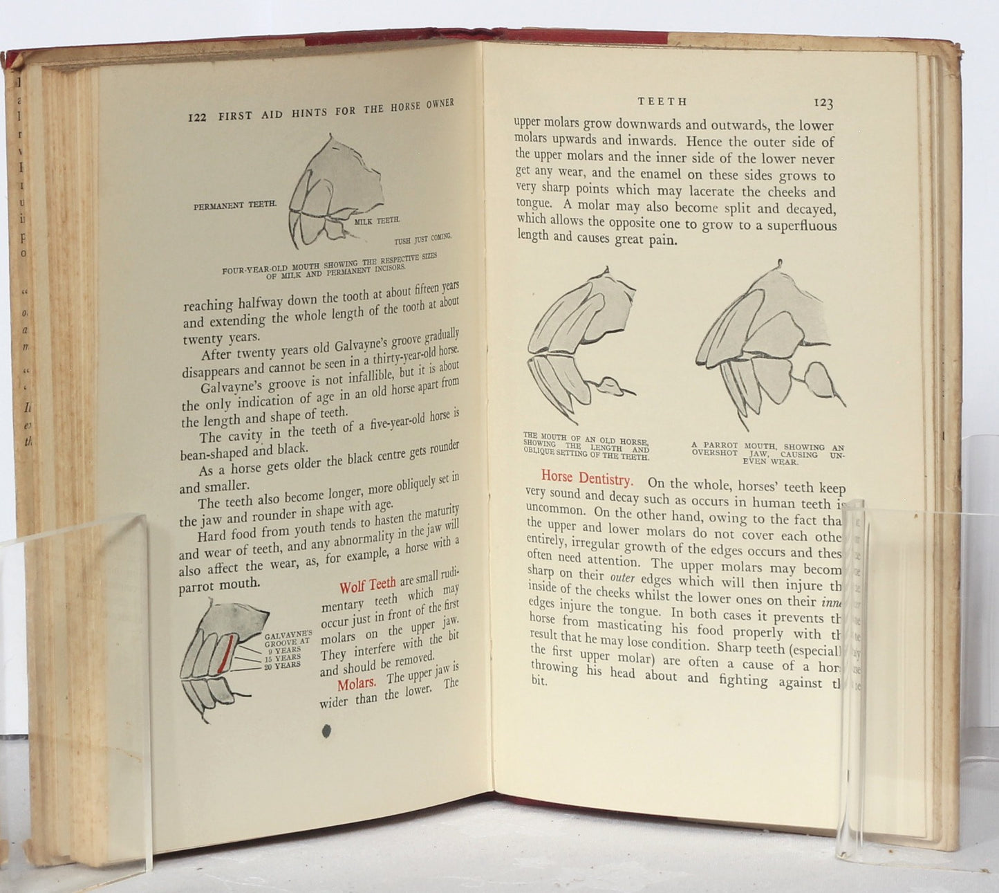First Aid Hints for the Horse Owner, A Veterinary Note Book by Major W.E.Lyon, 1st Ed 1933